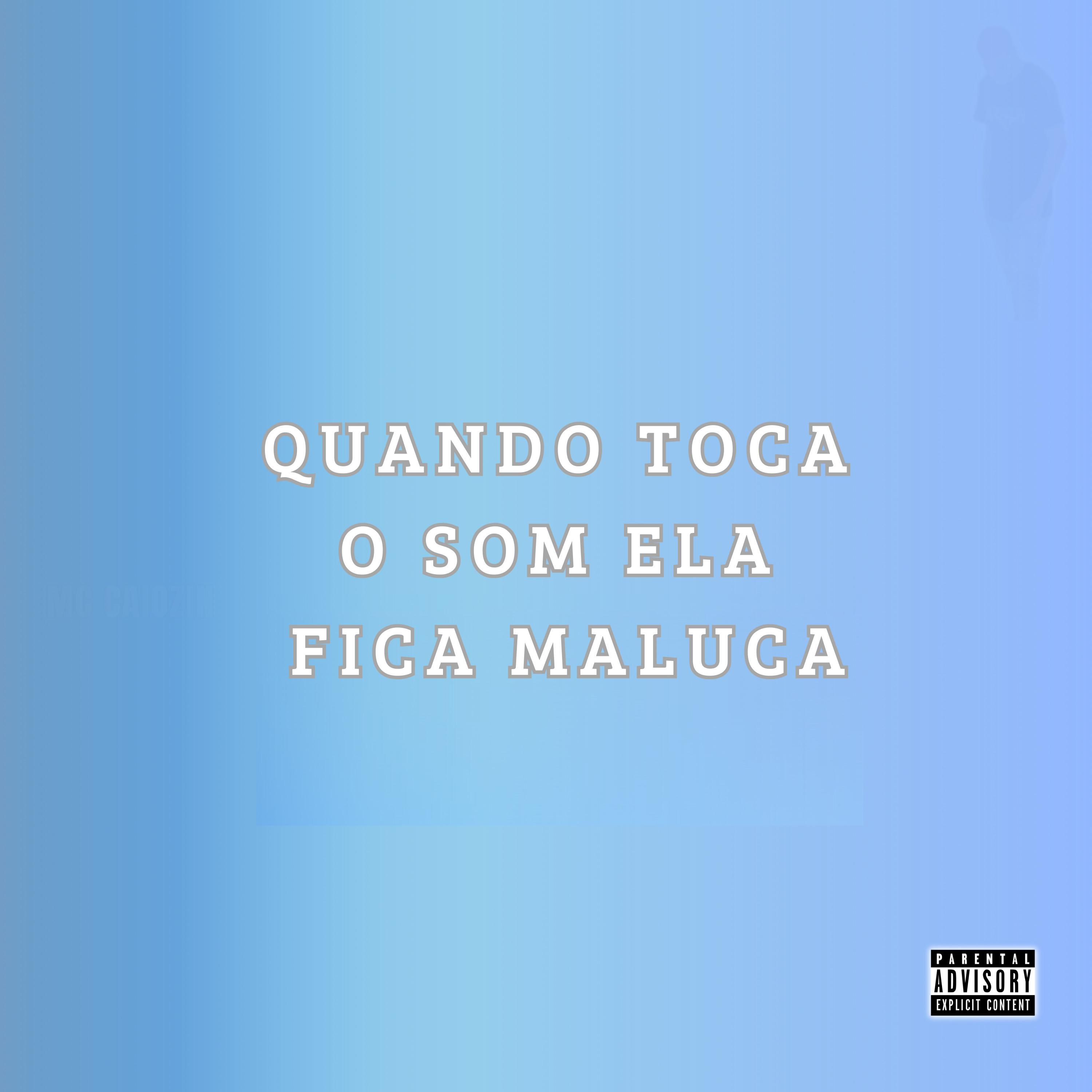 Постер альбома Quando Toca o Som Ela Fica Maluca