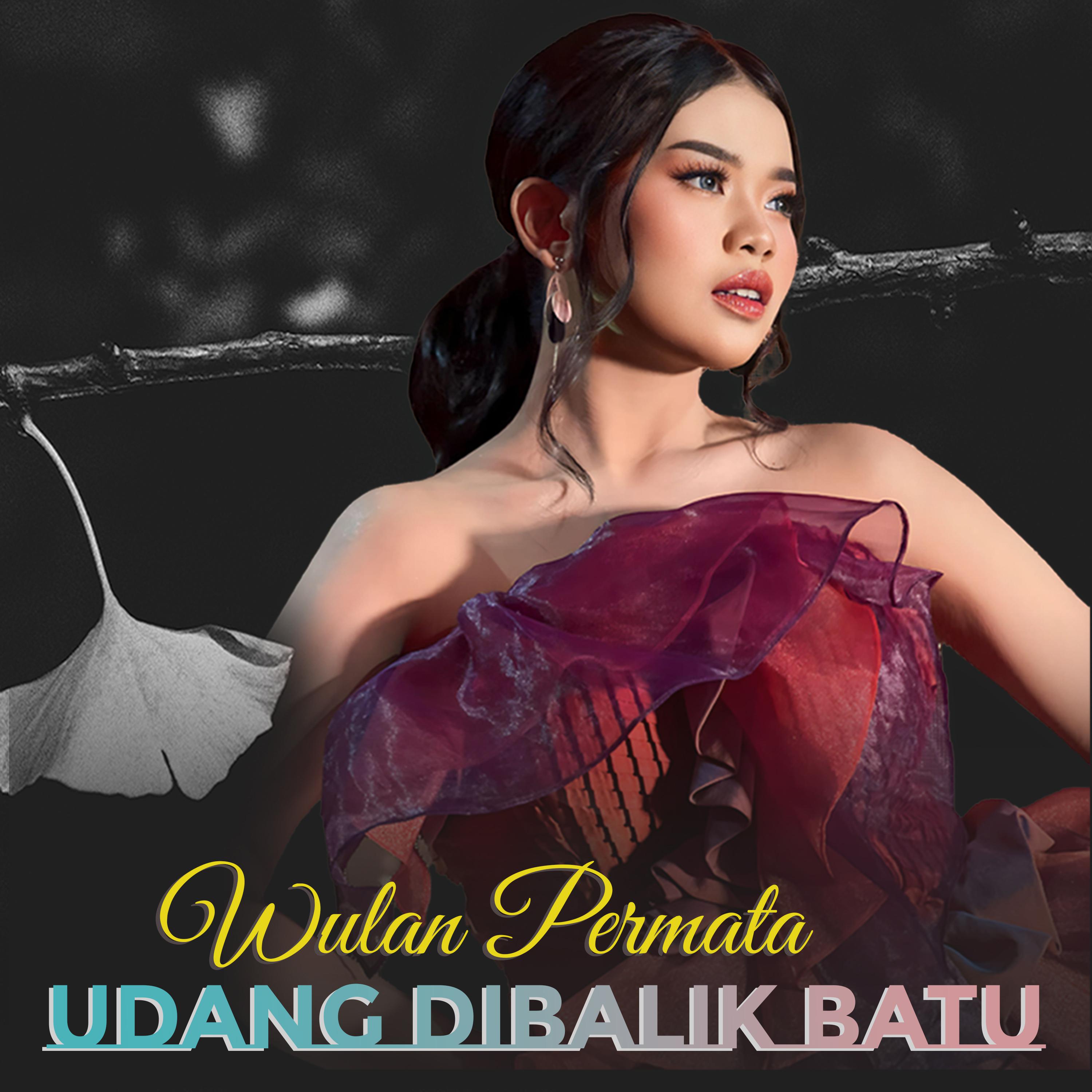 Постер альбома Udang Dibalik Batu