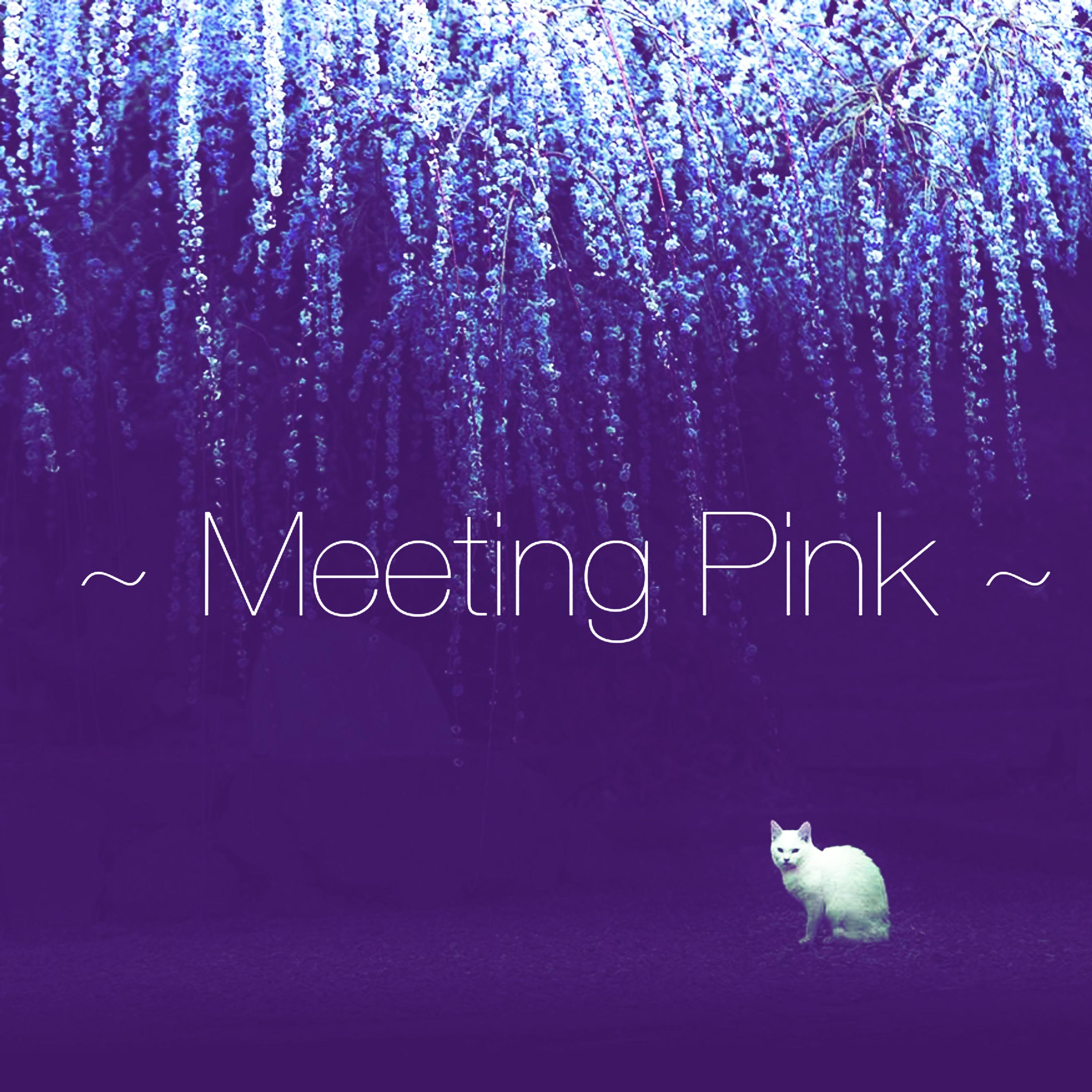 Постер альбома Meeting Pink