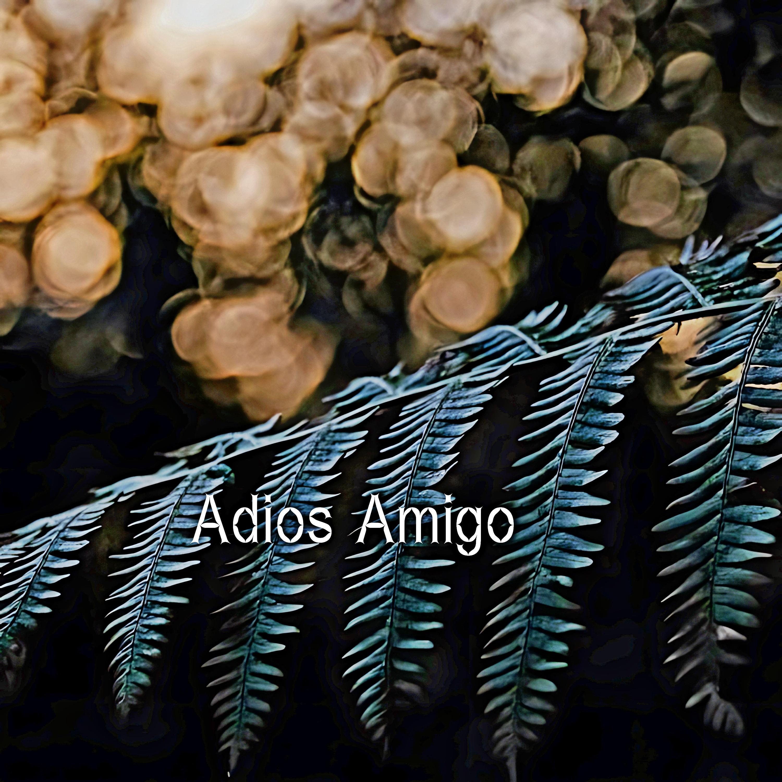 Постер альбома Adios Amigo