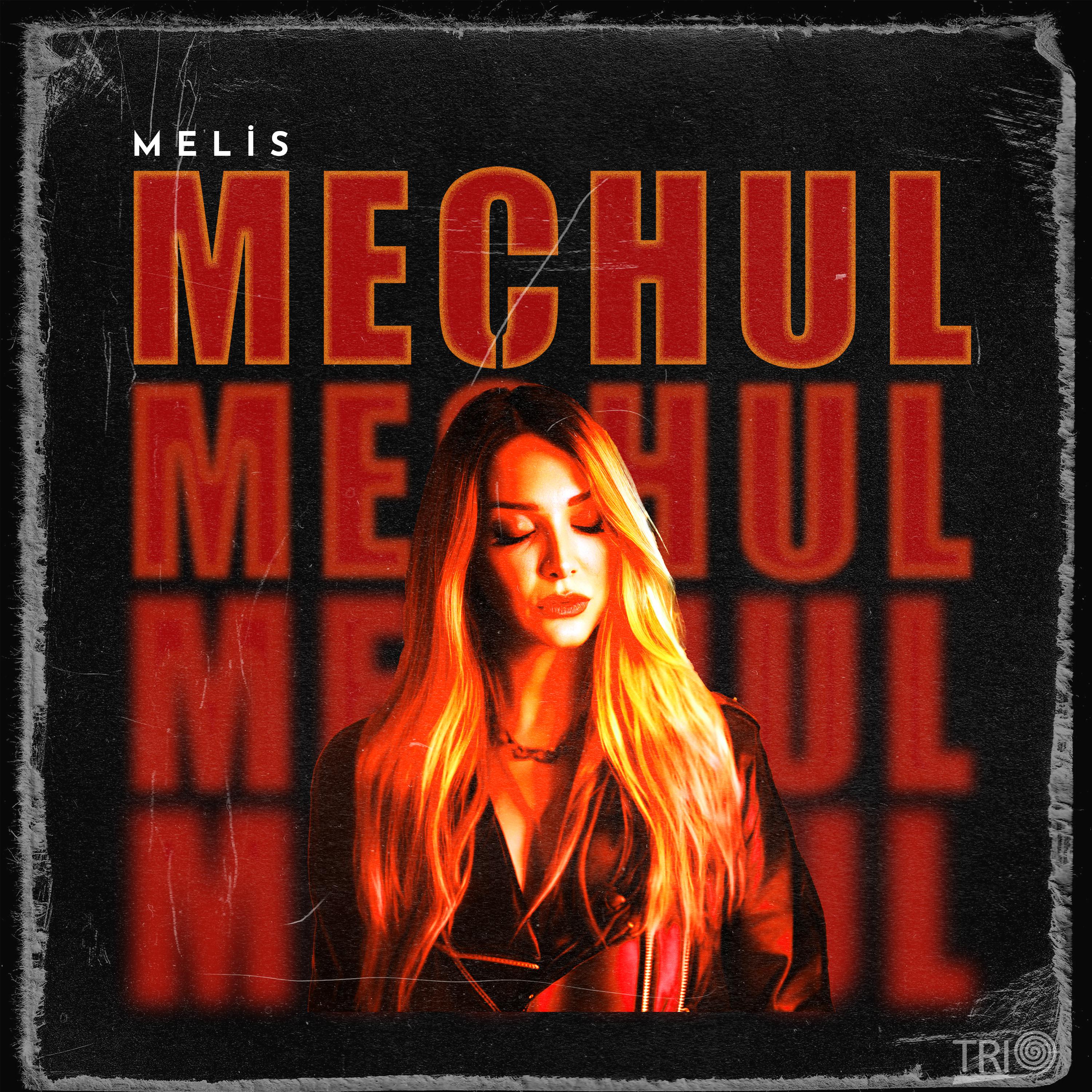Постер альбома Meçhul