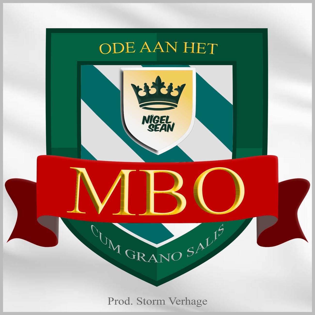 Постер альбома Ode Aan Het MBO