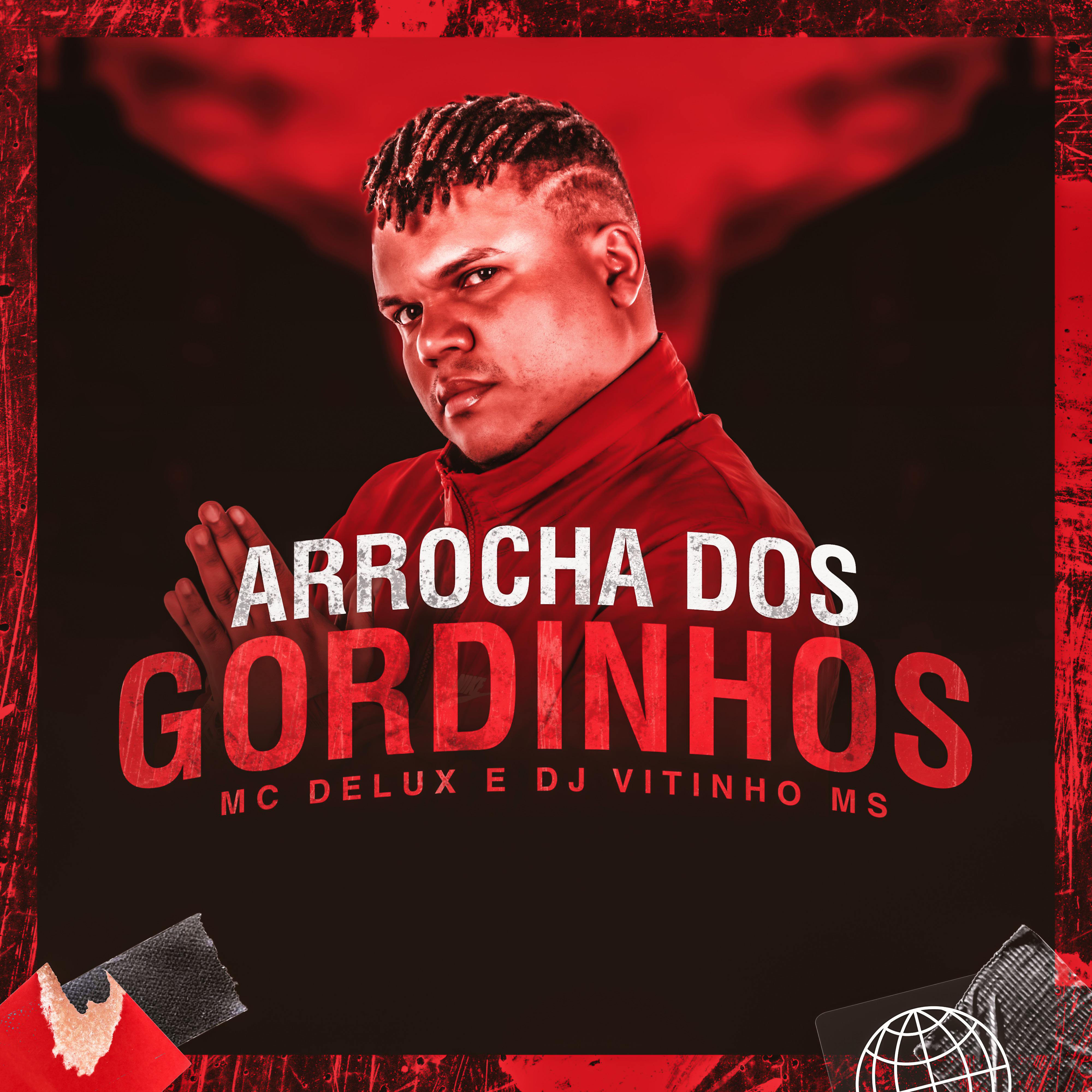 Постер альбома Arrocha dos Gordinhos