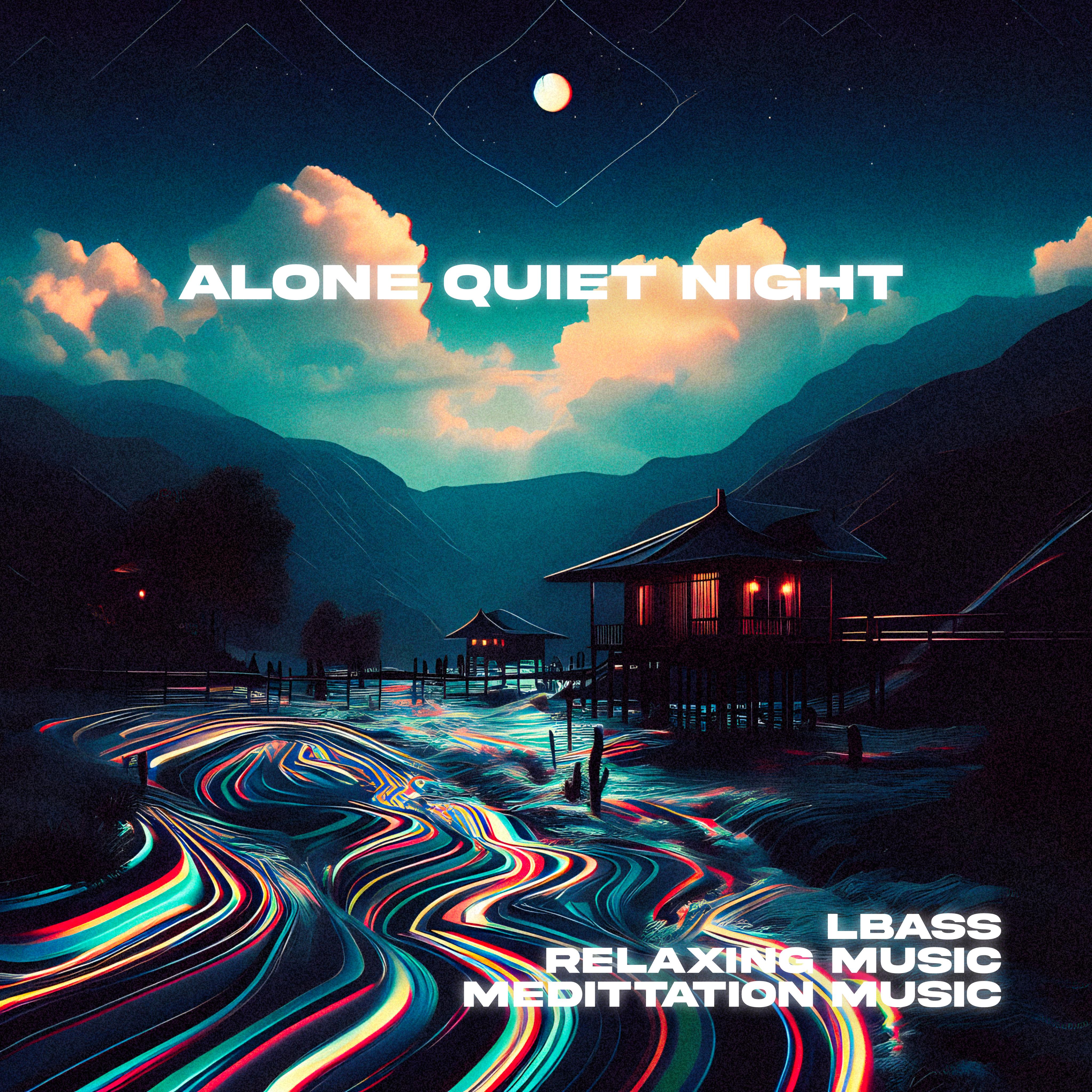Постер альбома Alone Quiet Night