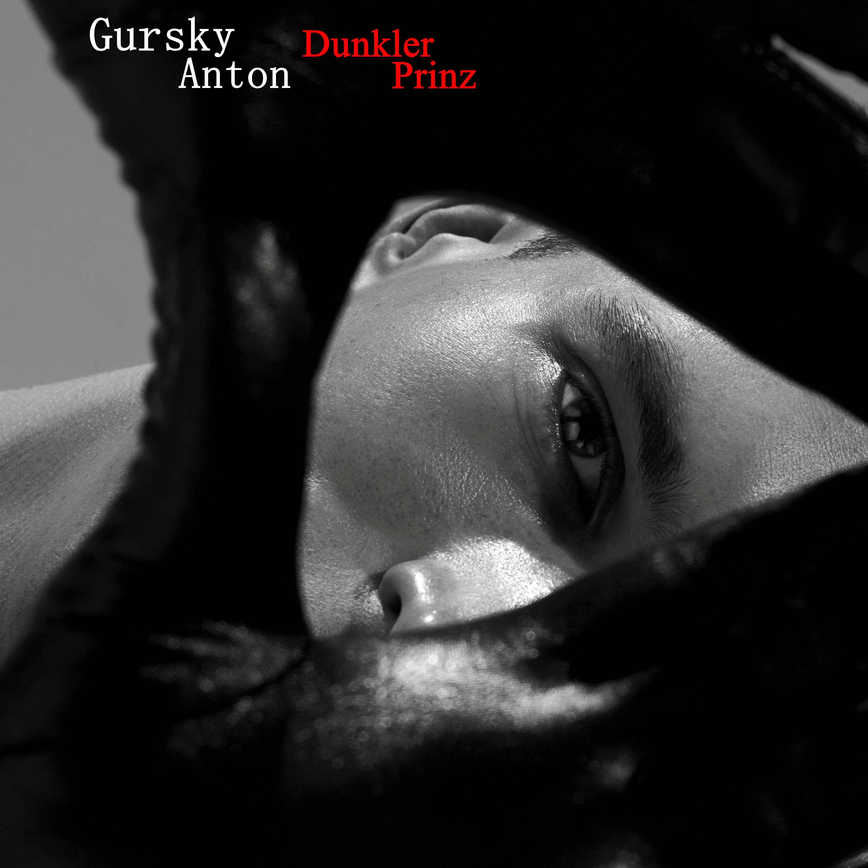 Постер альбома Dunkler Prinz