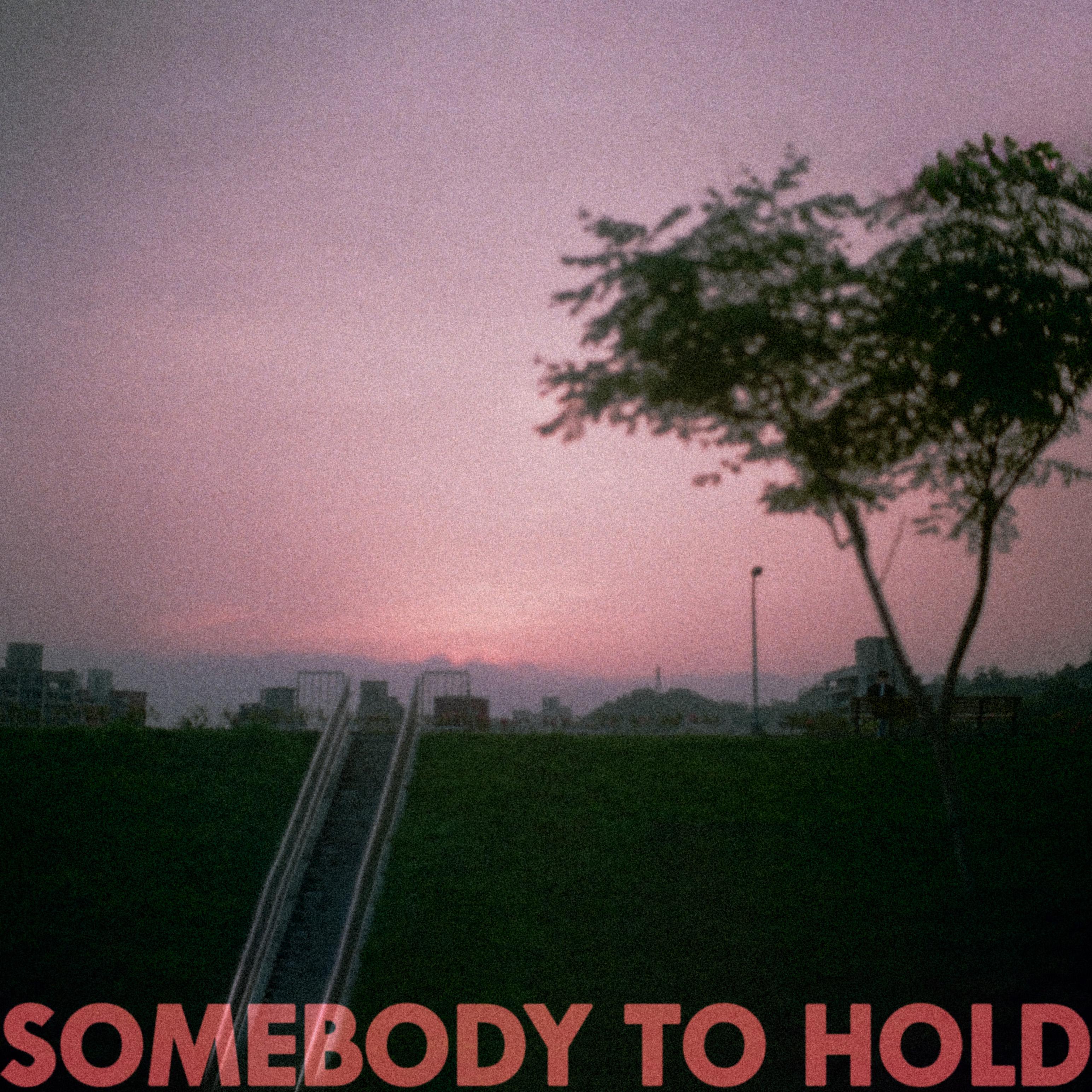 Постер альбома Somebody to Hold