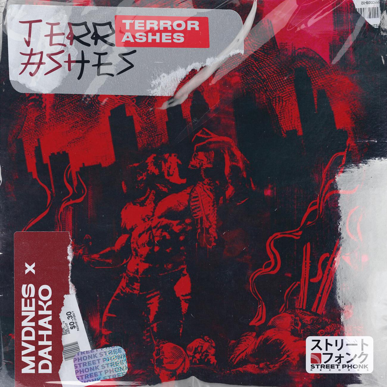 Постер альбома Terror Ashes