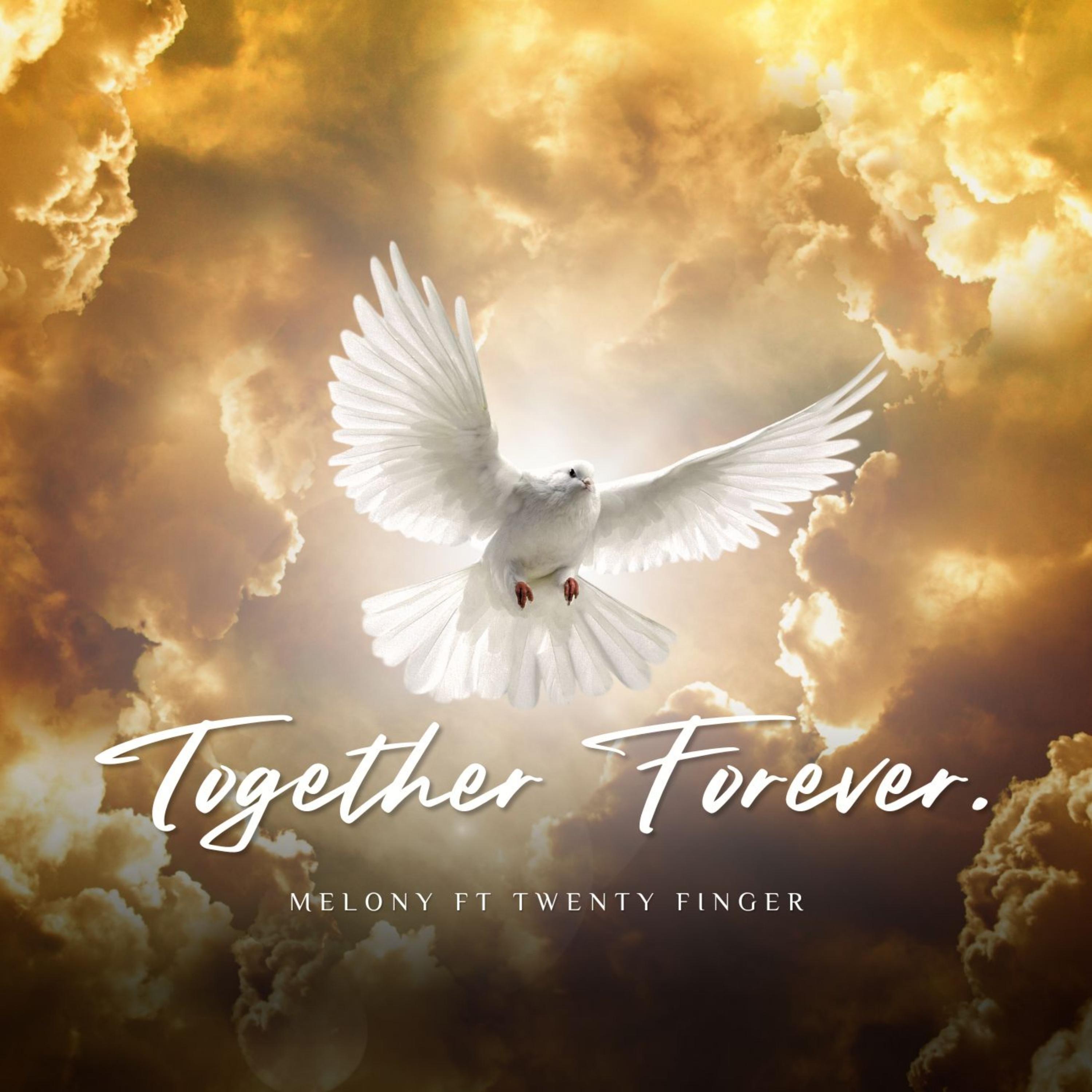 Постер альбома Together Forever (feat. Twenty Fingers