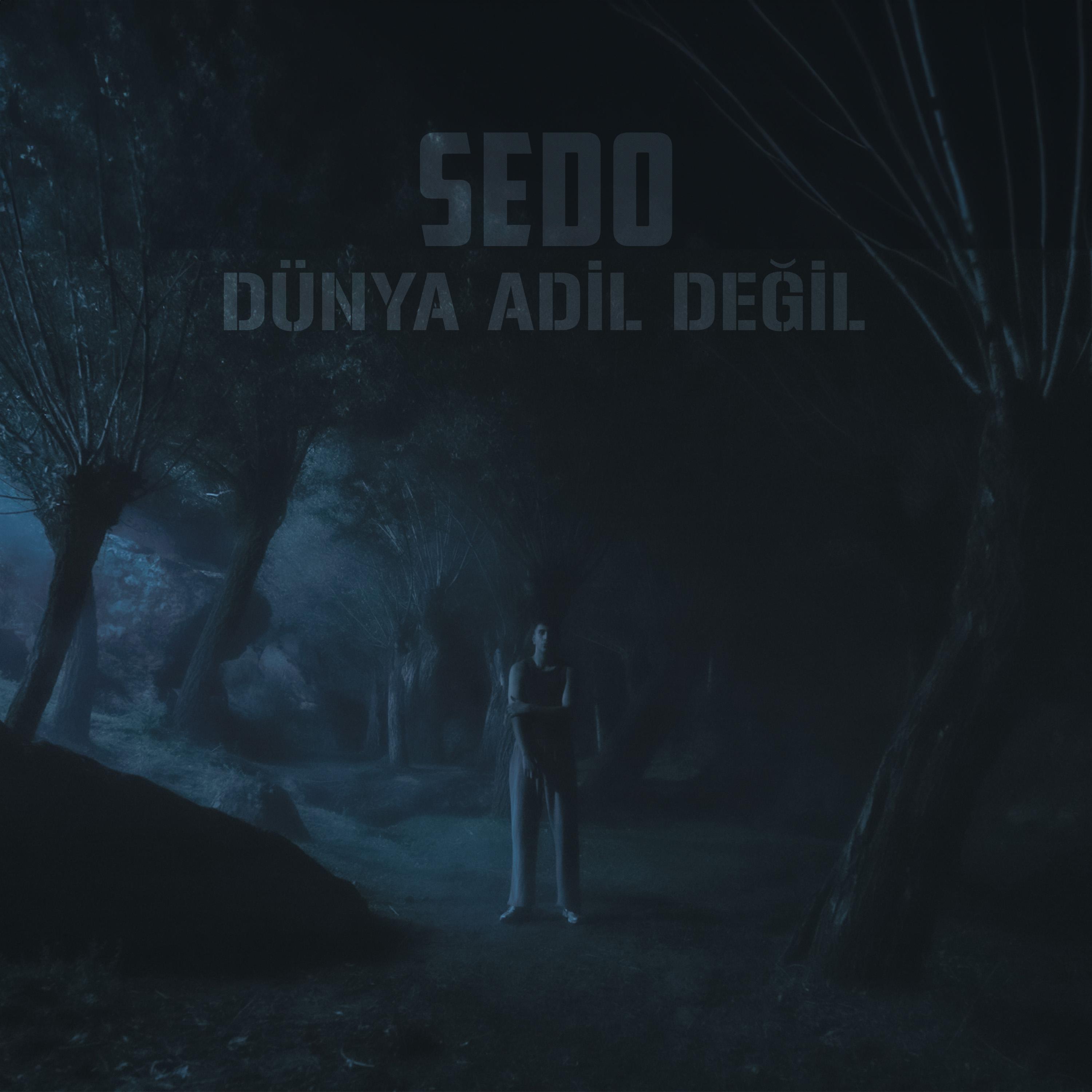 Постер альбома Dünya Adil Değil