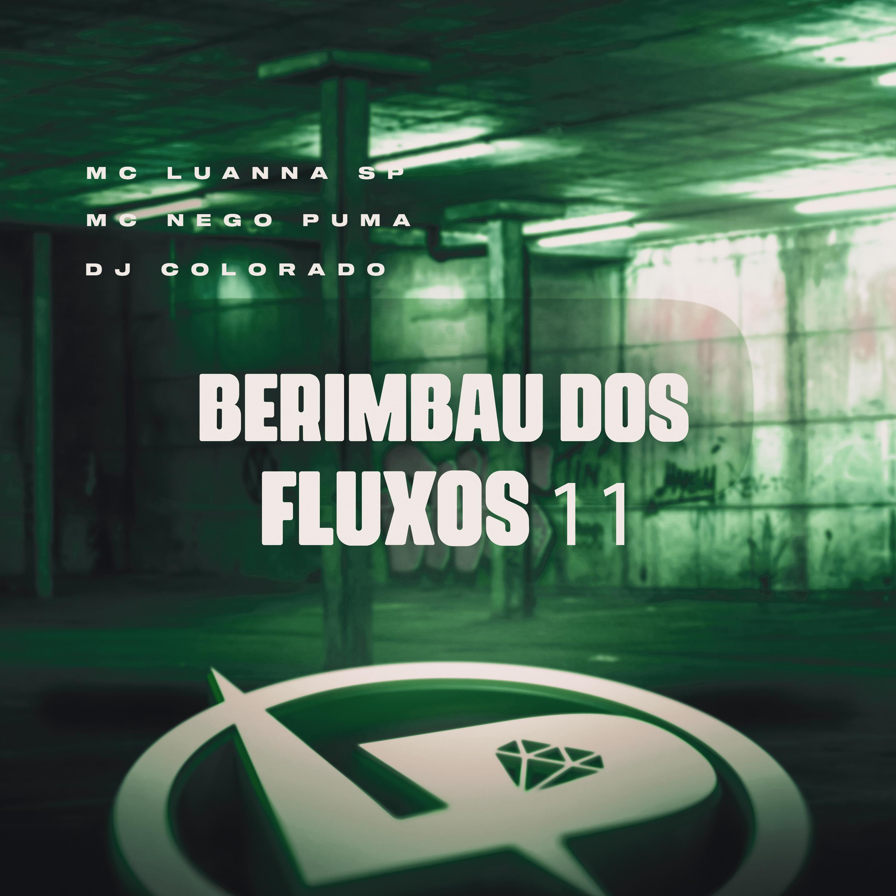 Постер альбома Berimbau dos Fluxos 11