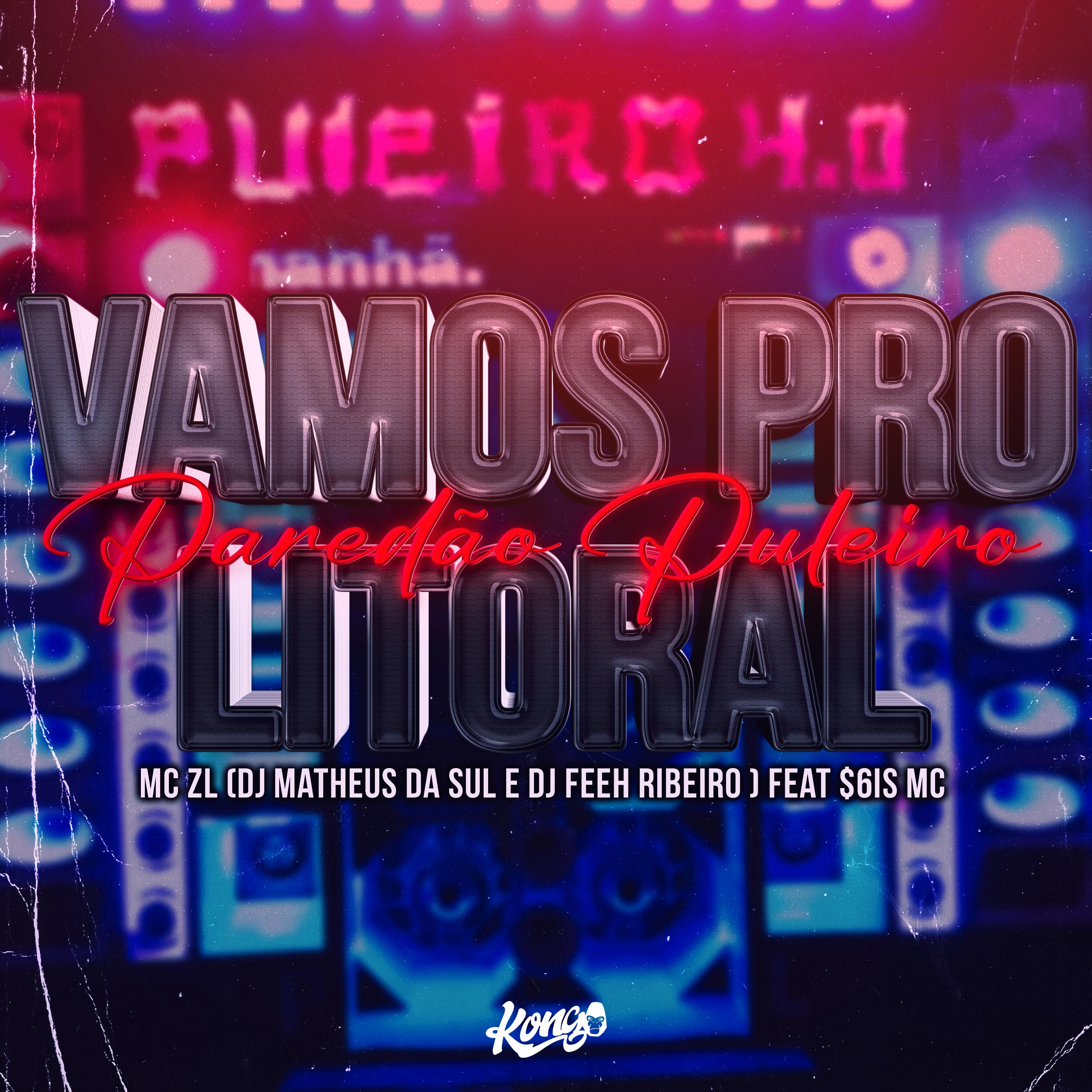 Постер альбома Vamos pro Litoral - Paredão Puleiro