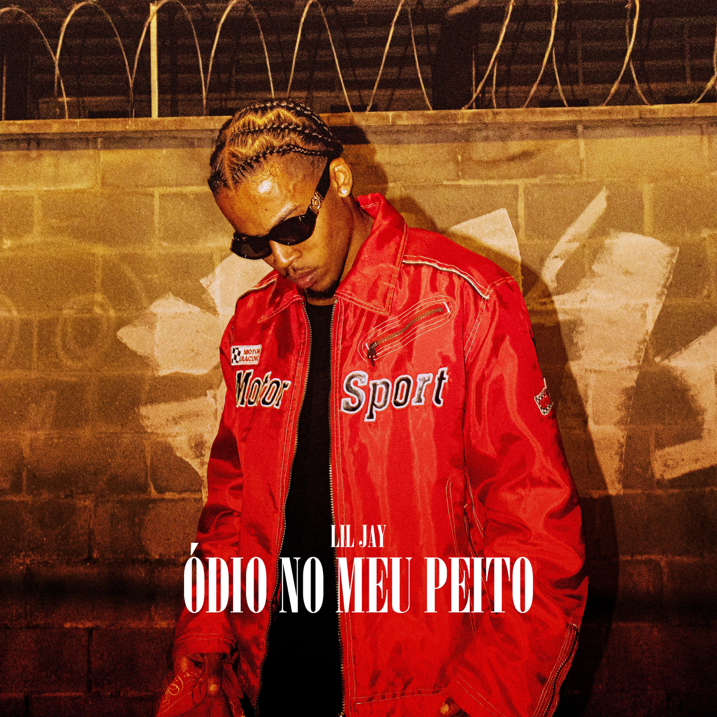 Постер альбома Ódio no Meu Peito