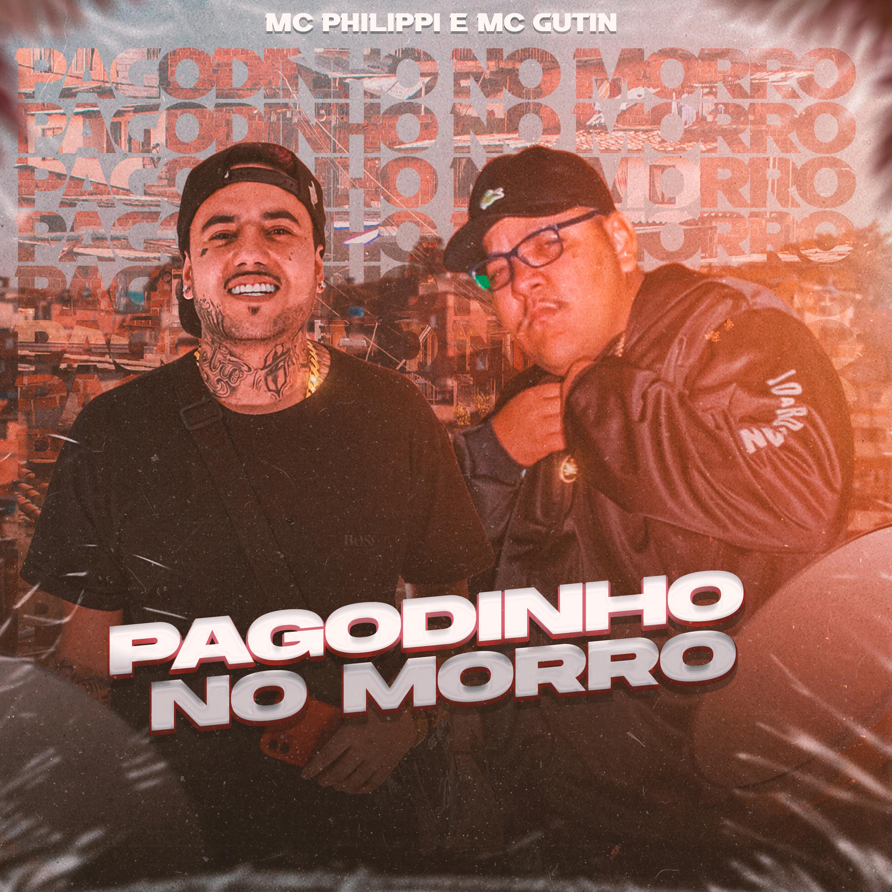 Постер альбома Pagodinho no Morro