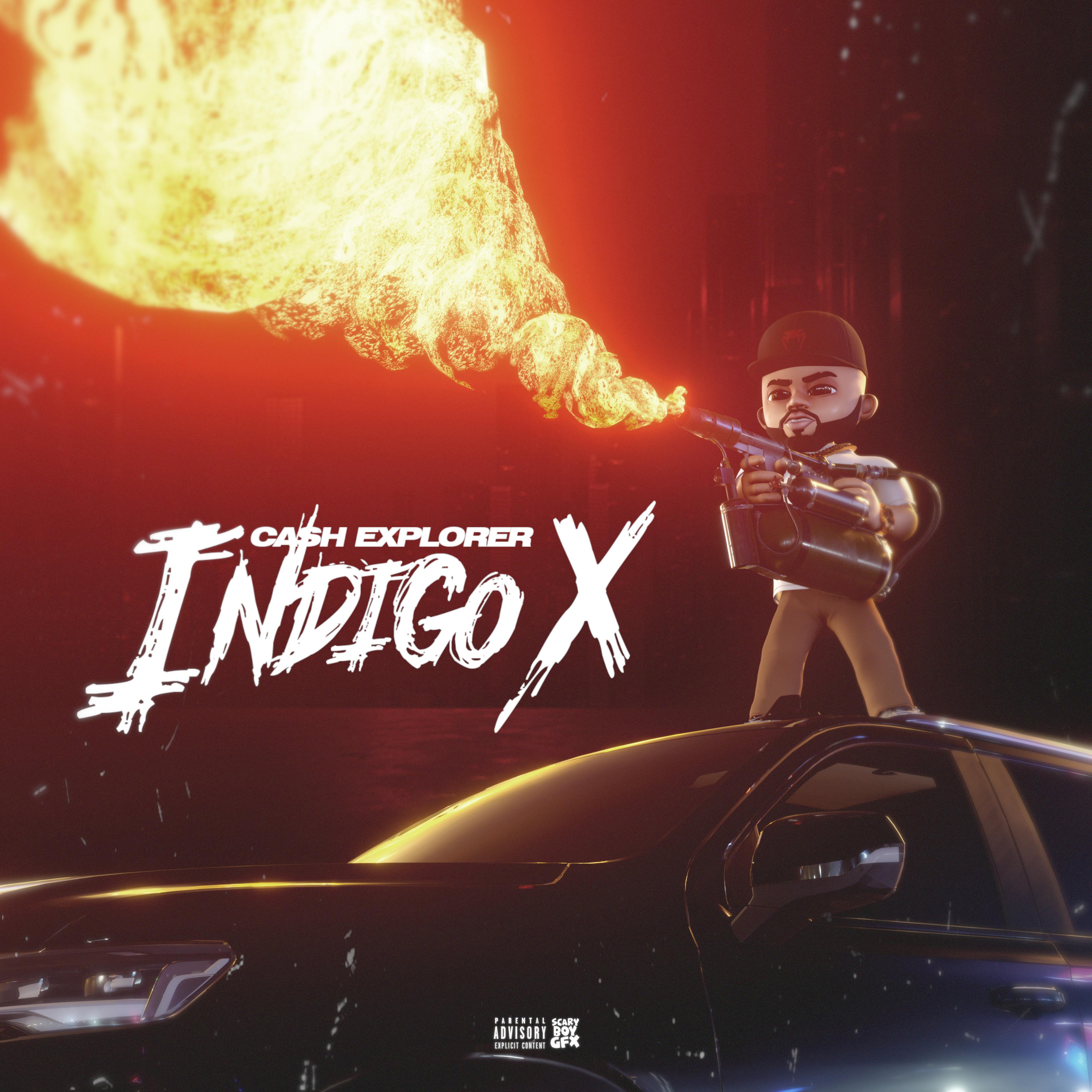 Постер альбома Indigo X