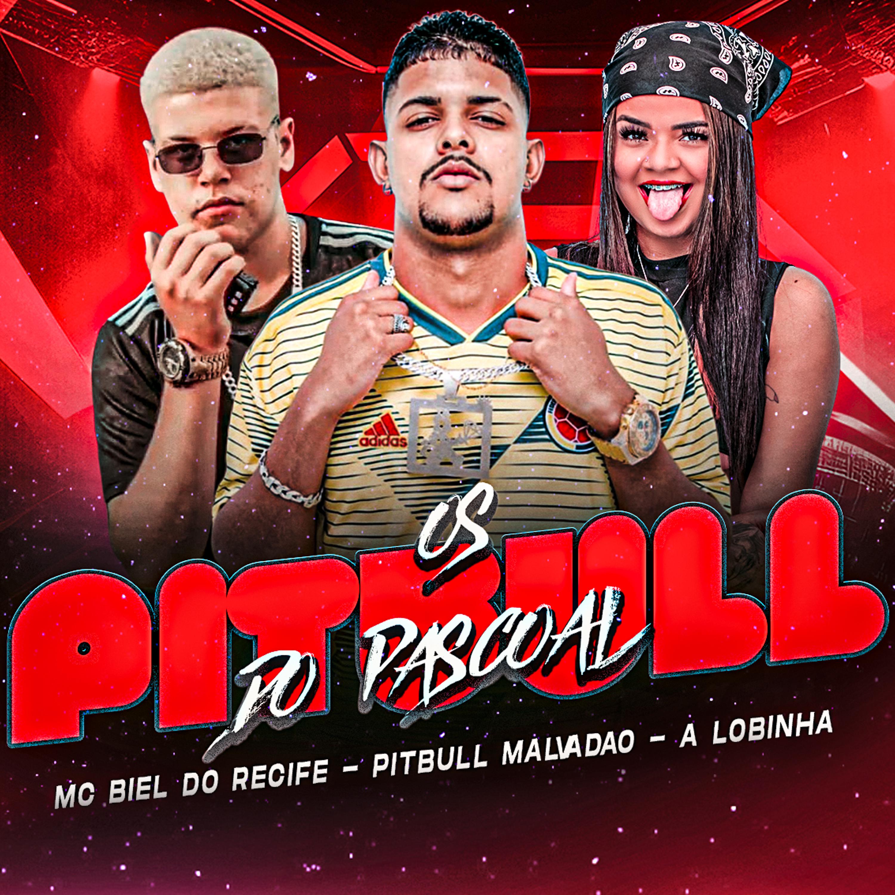 Постер альбома Os Pitbull do Pascoal