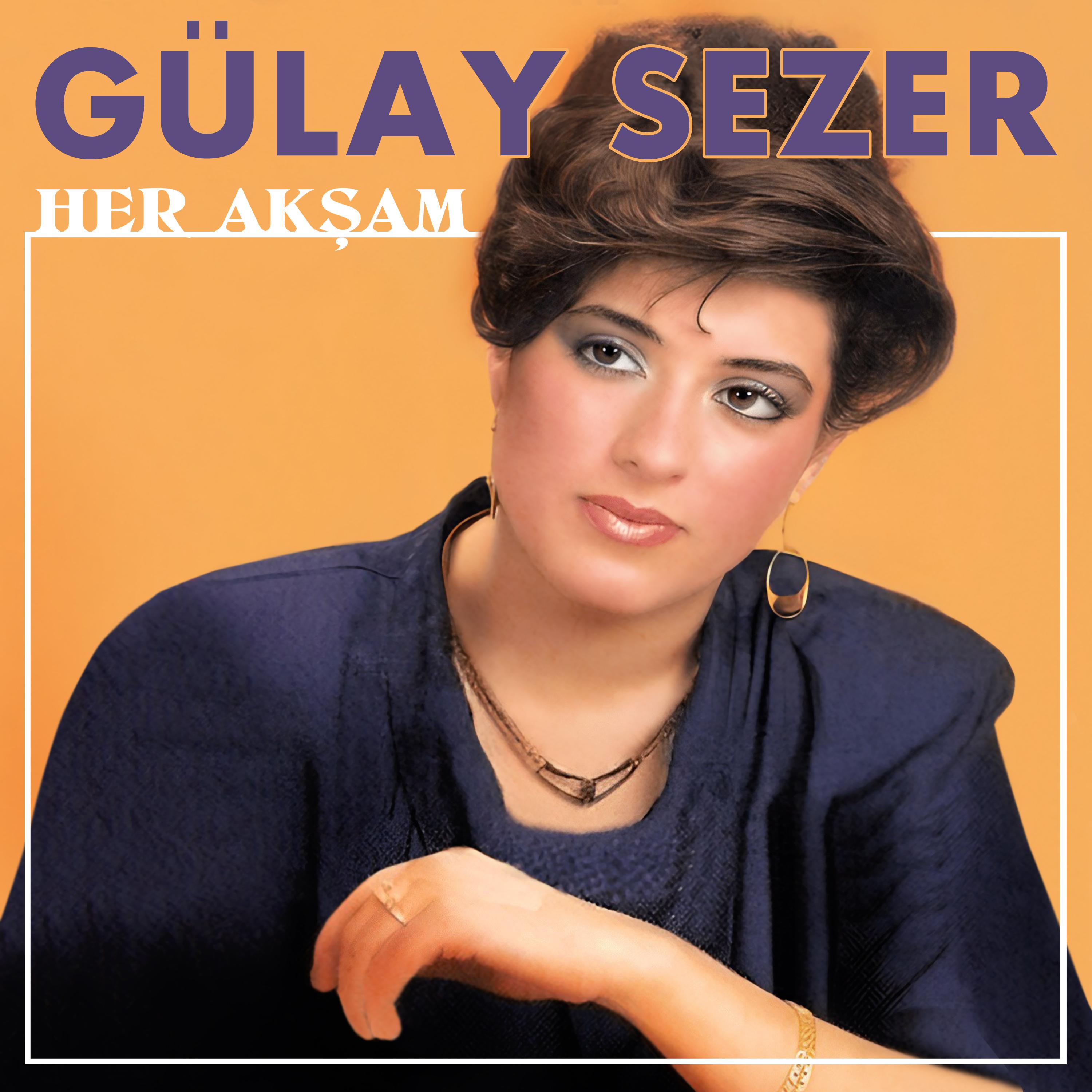 Постер альбома Her Akşam