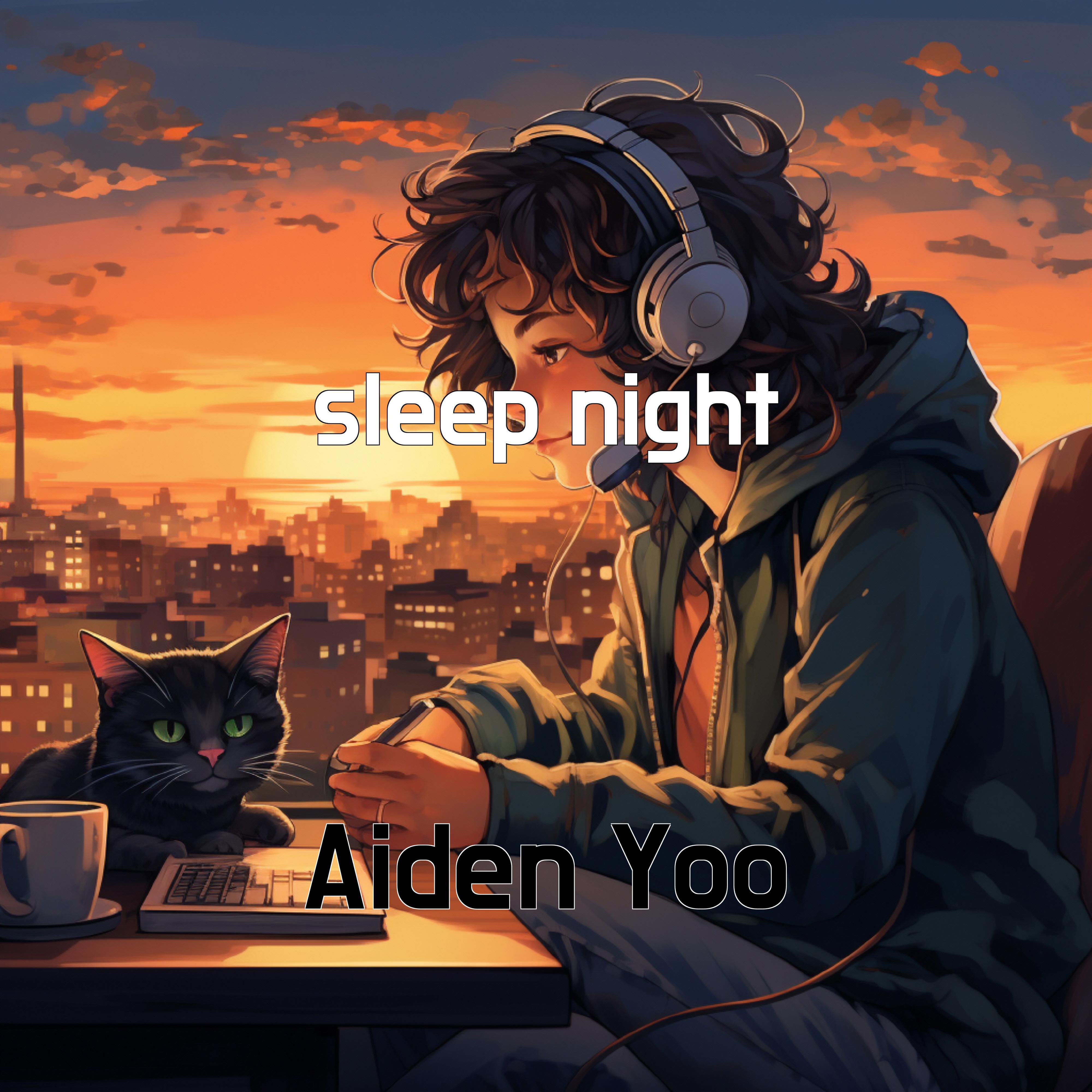 Постер альбома sleep night