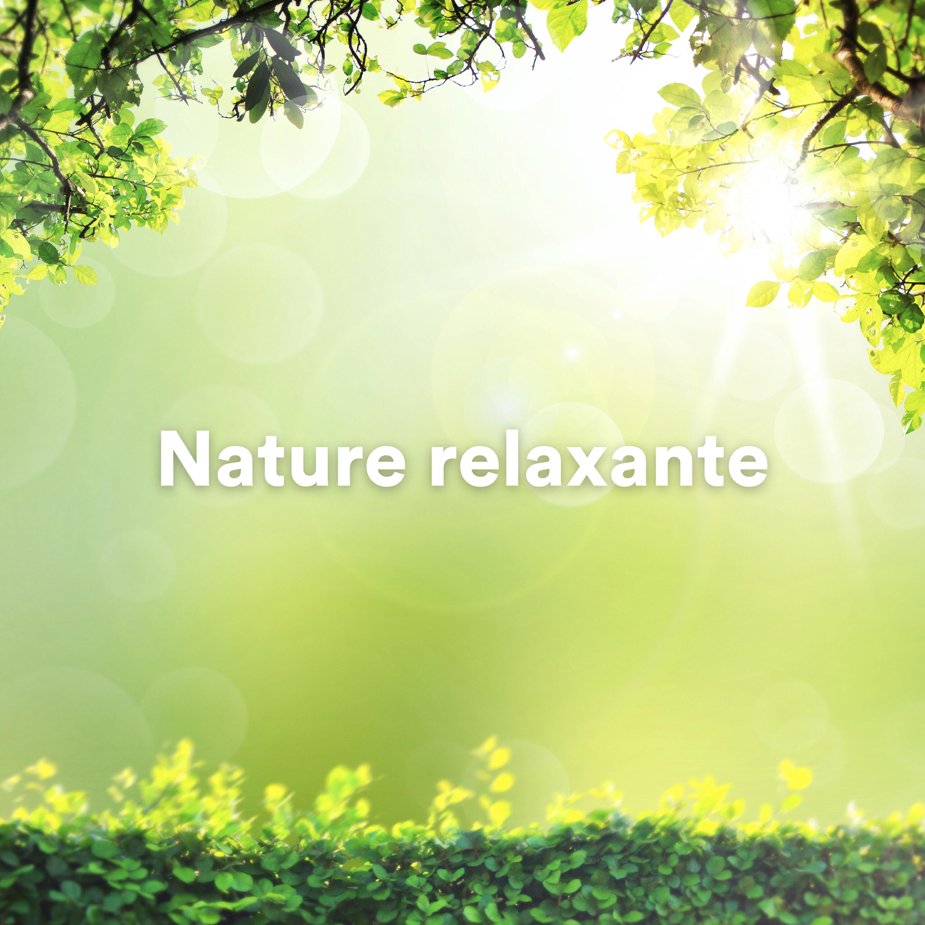 Постер альбома Nature relaxante