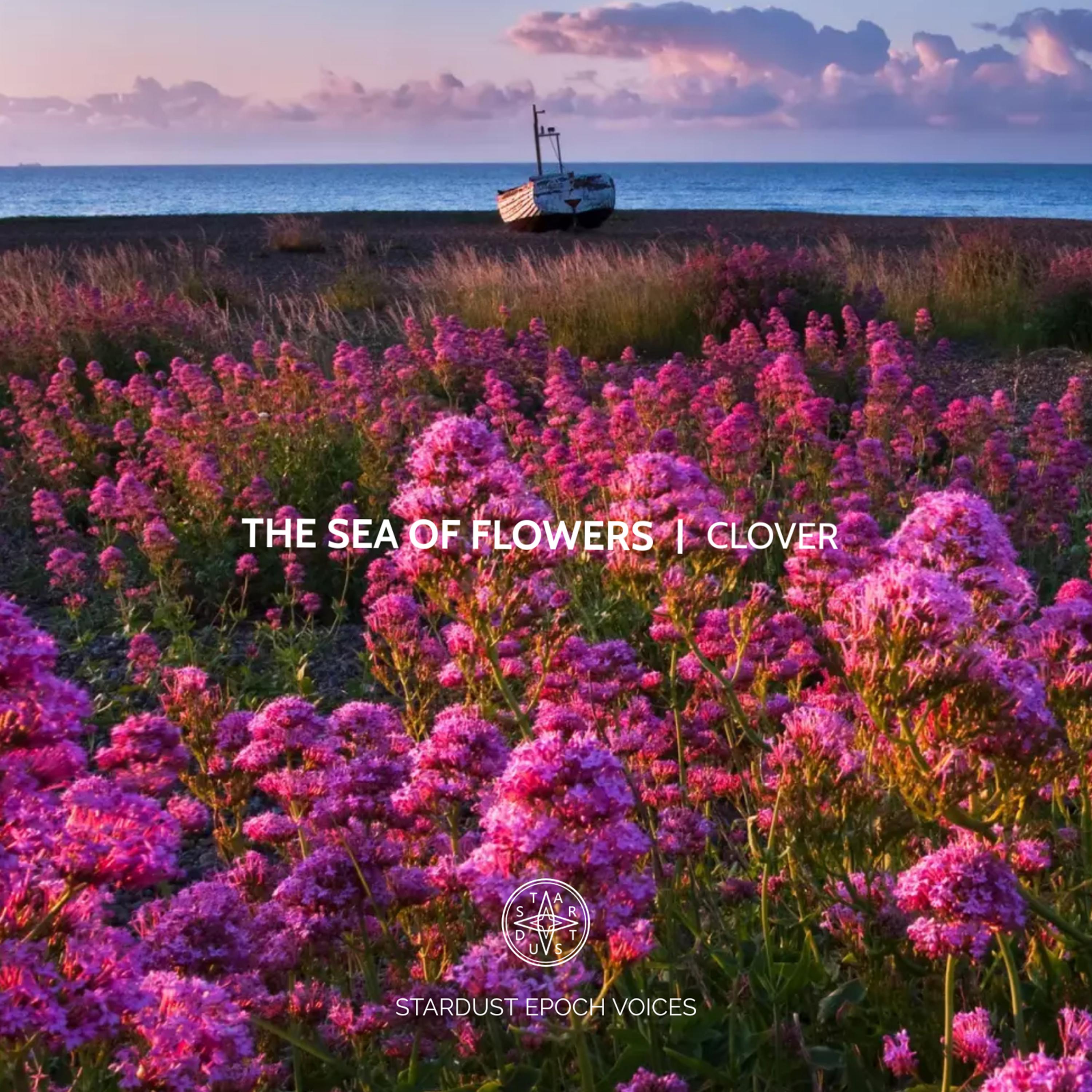 Постер альбома The Sea of Flowers