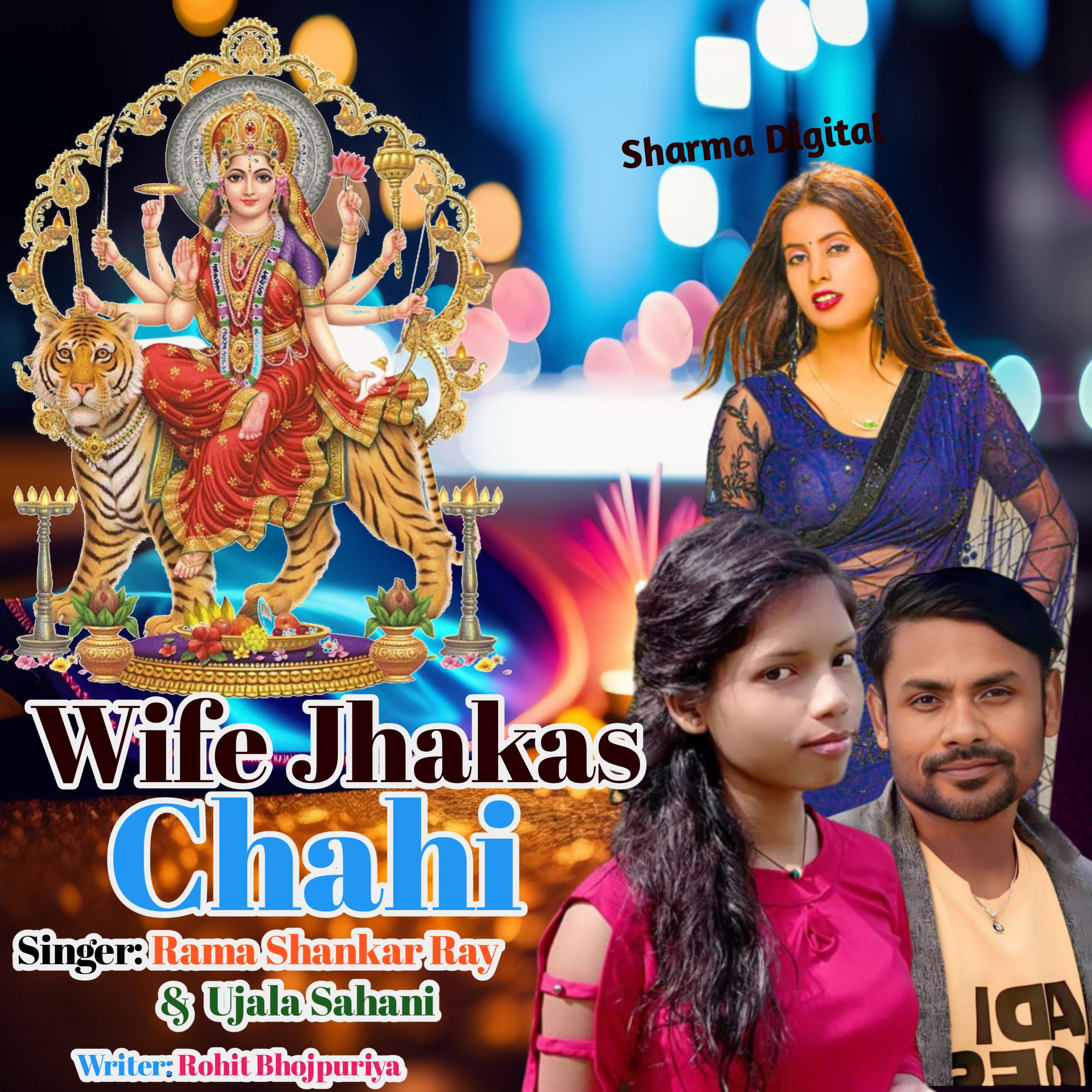 Постер альбома Wife Jhakas Chahi