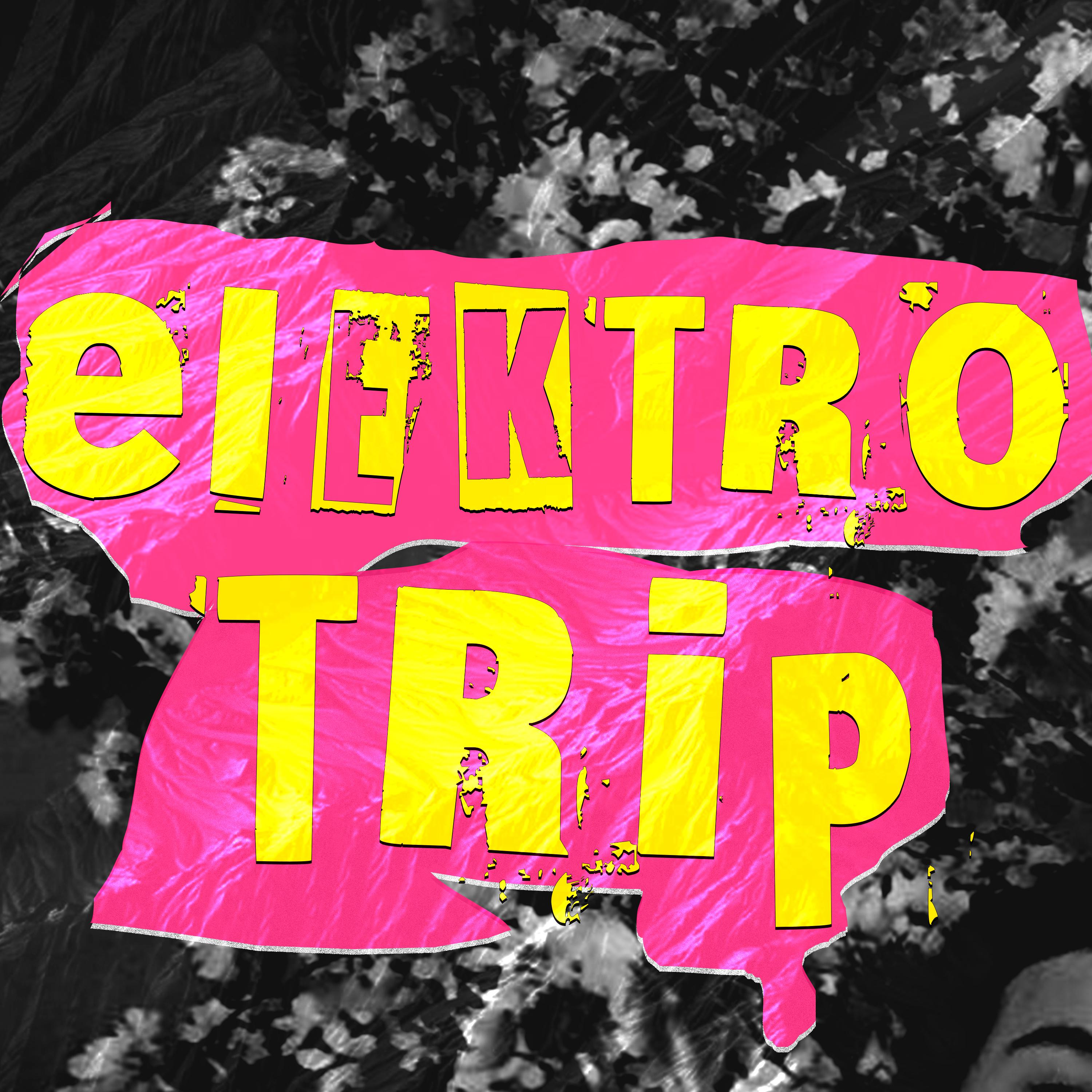 Постер альбома Elektro Trip