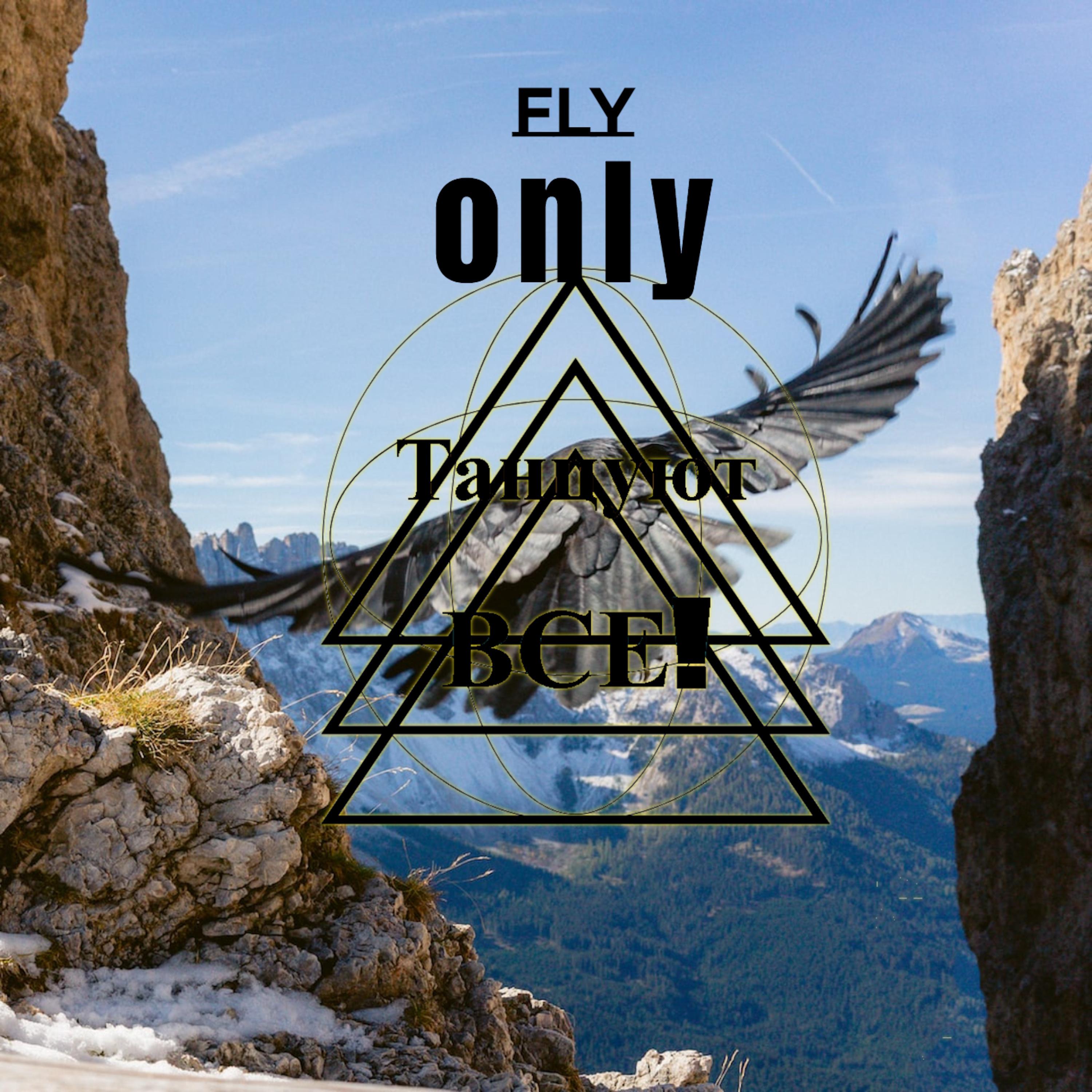 Постер альбома Fly Only