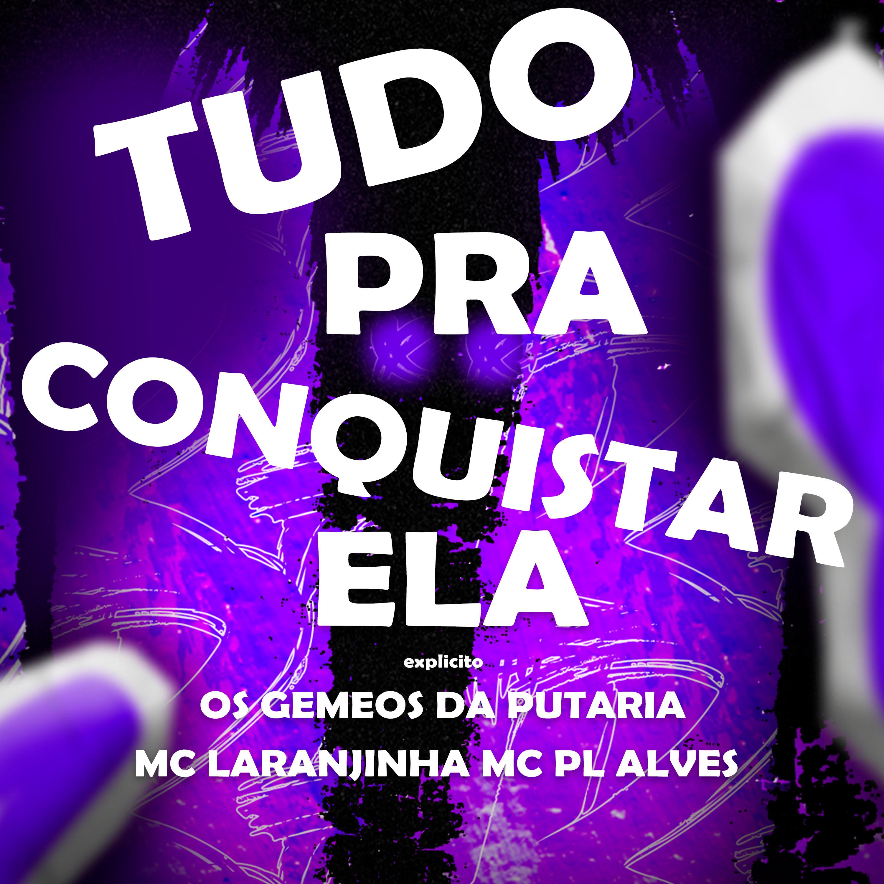 Постер альбома Tudo pra Conquistar Ela