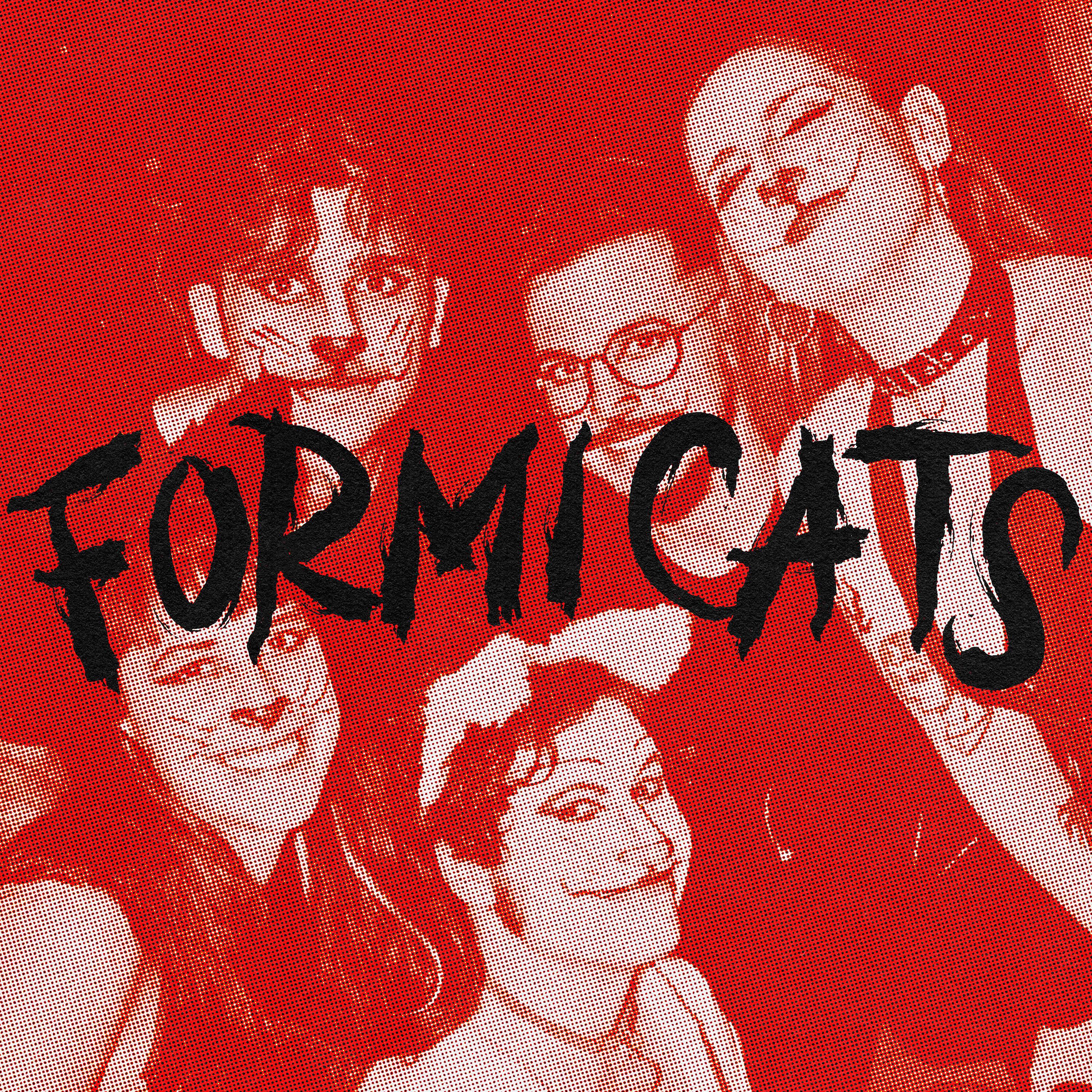 Постер альбома Formicats