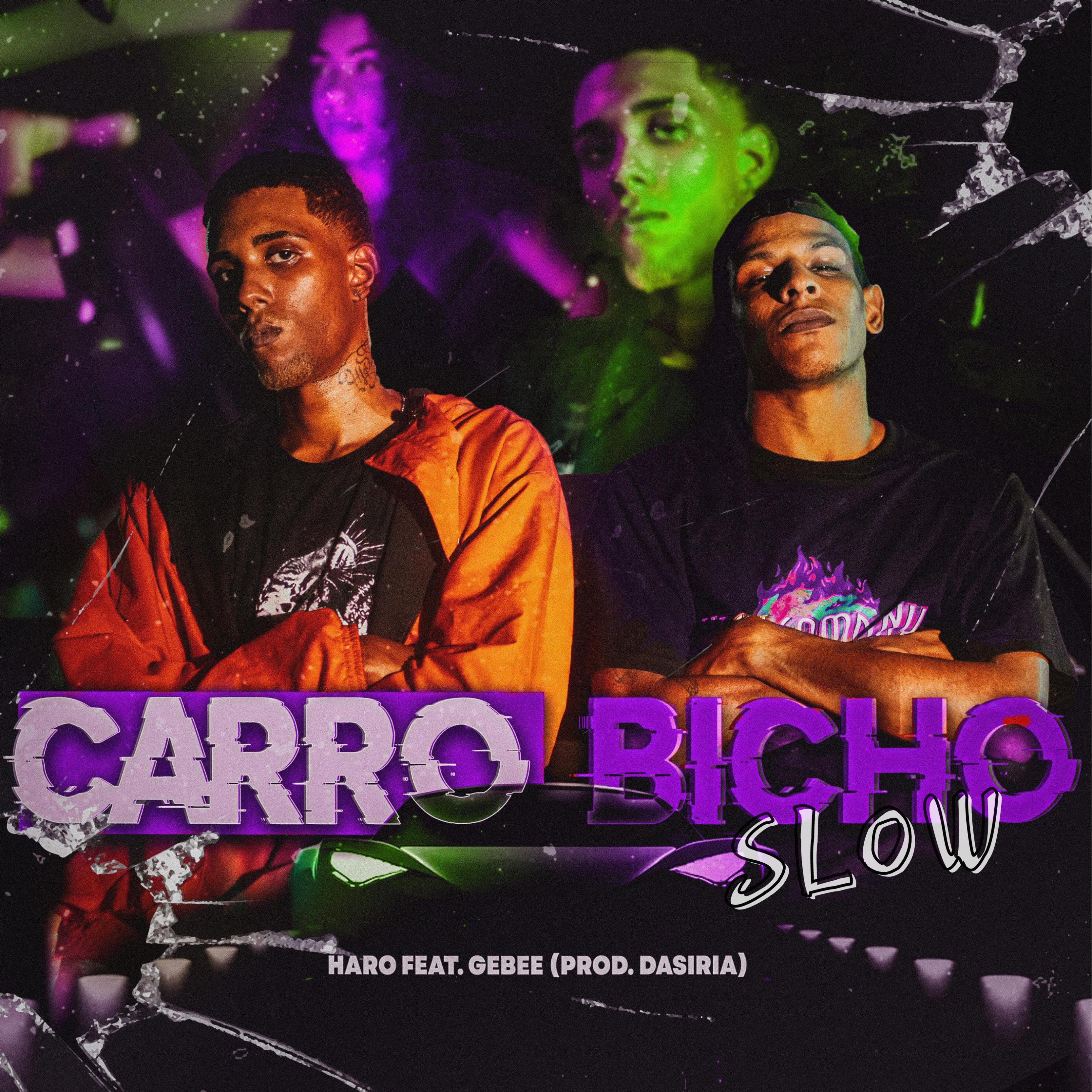 Постер альбома Carro Bicho (Slow)