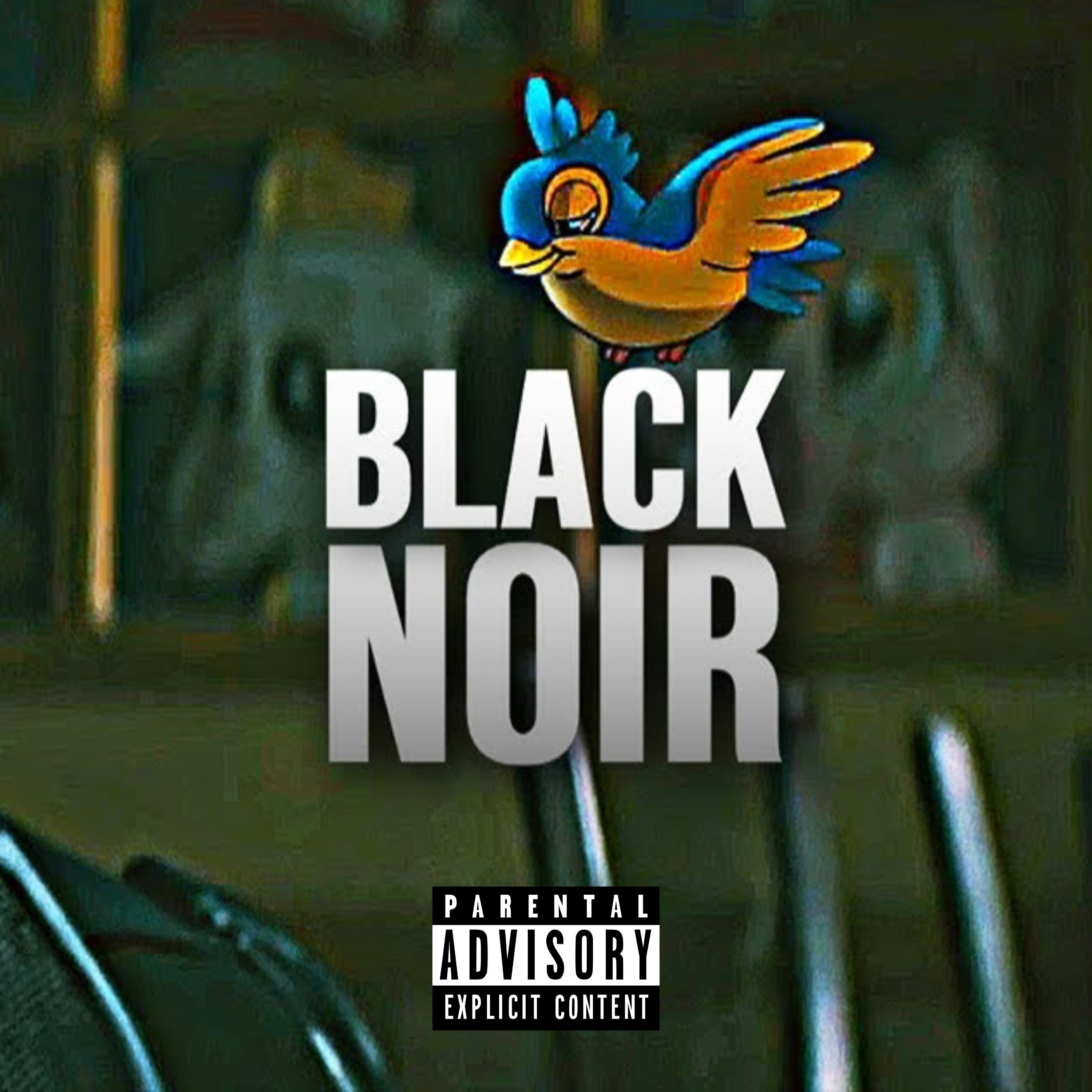 Постер альбома Black Noir