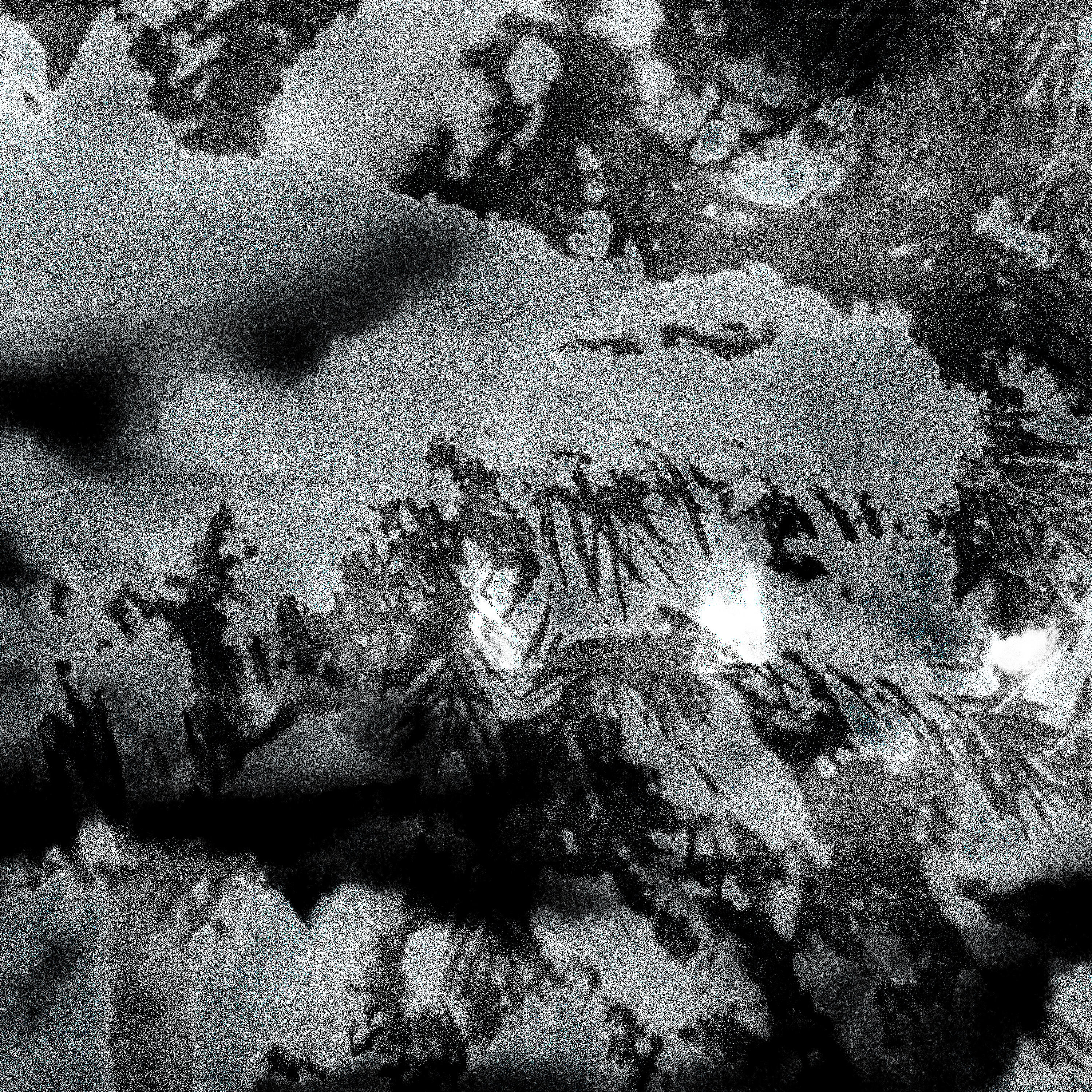 2vmv - БЕЛЫЙ-БЕЛЫЙ