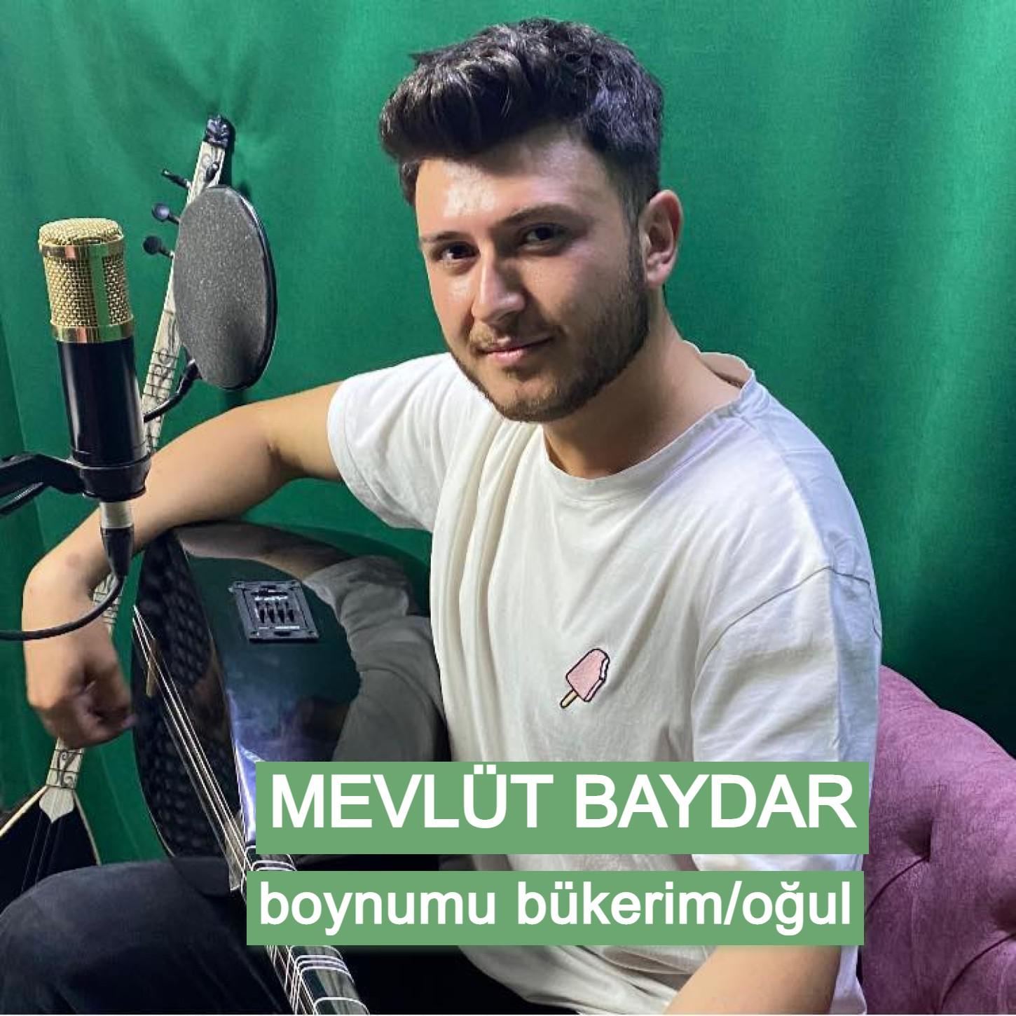 Постер альбома Boynumu Bükerim/Oğul