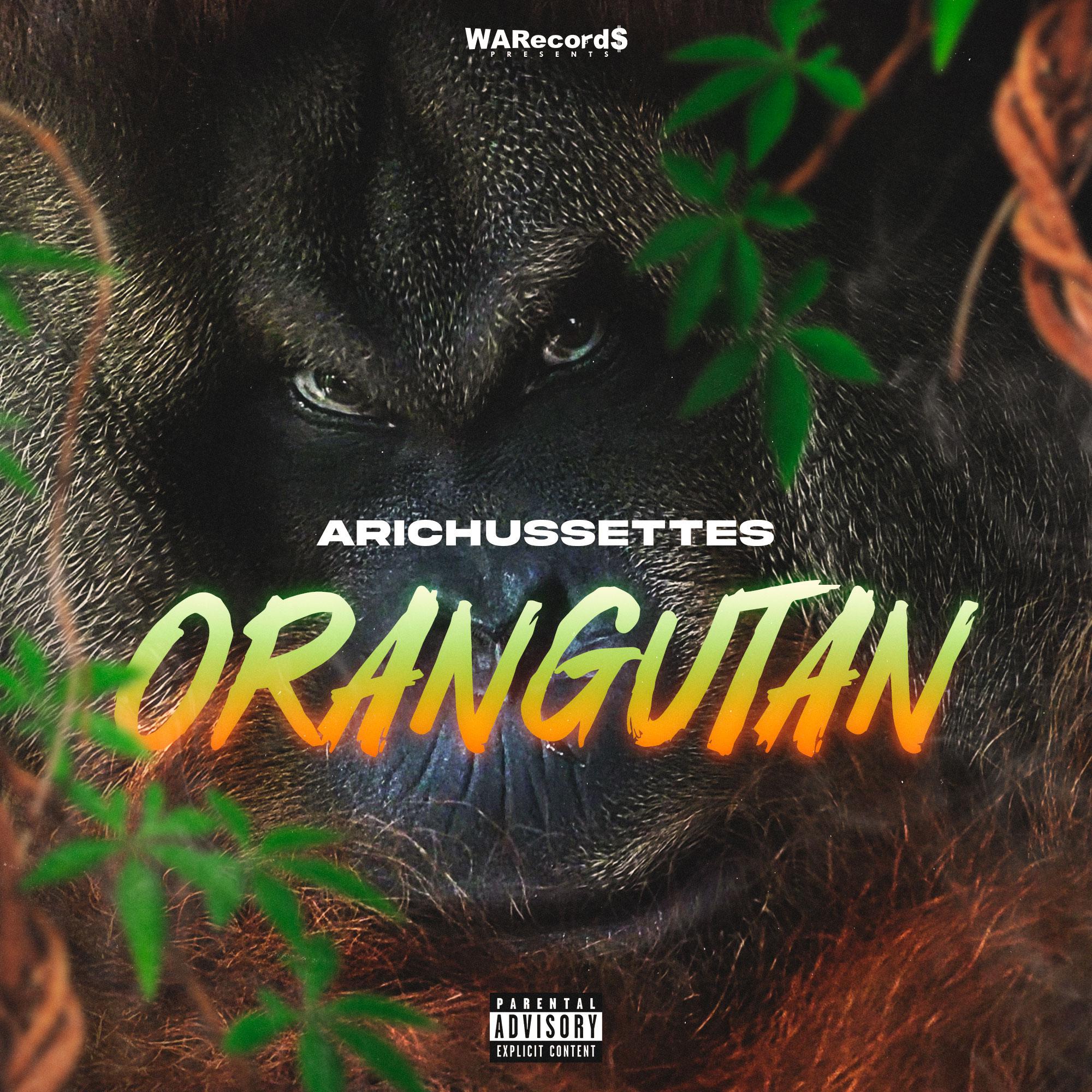 Постер альбома Orangutan