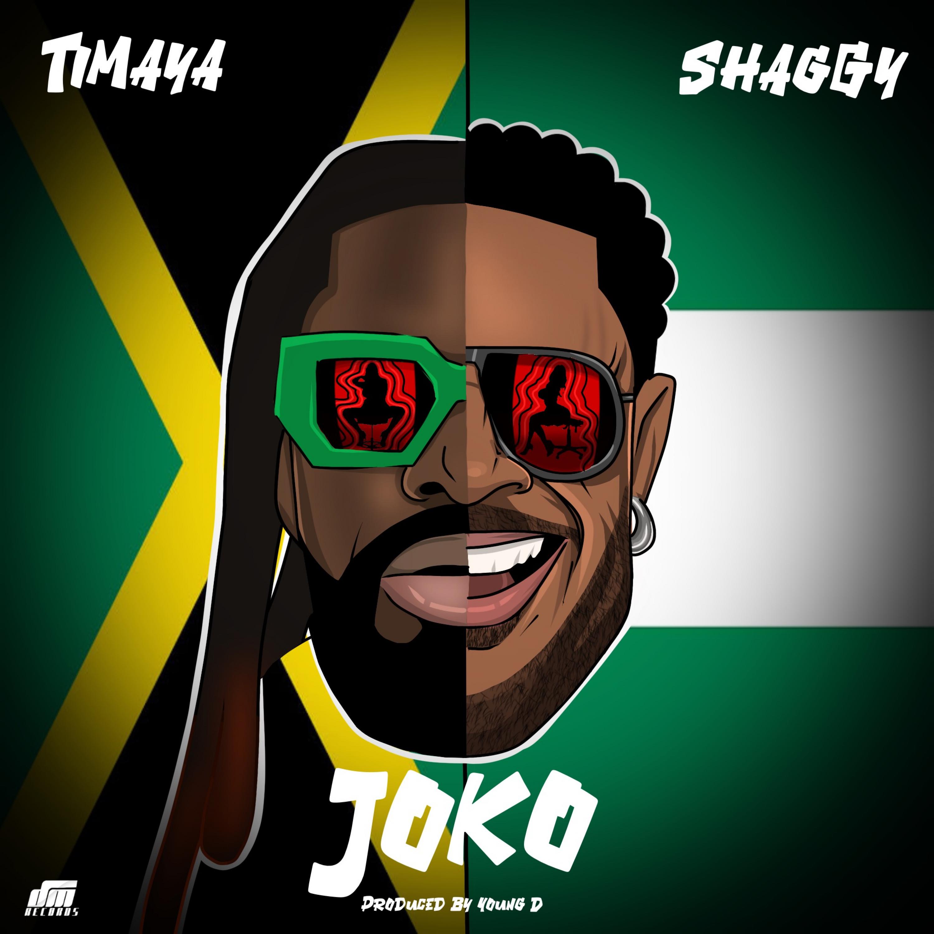 Постер альбома Joko (feat. Shaggy)