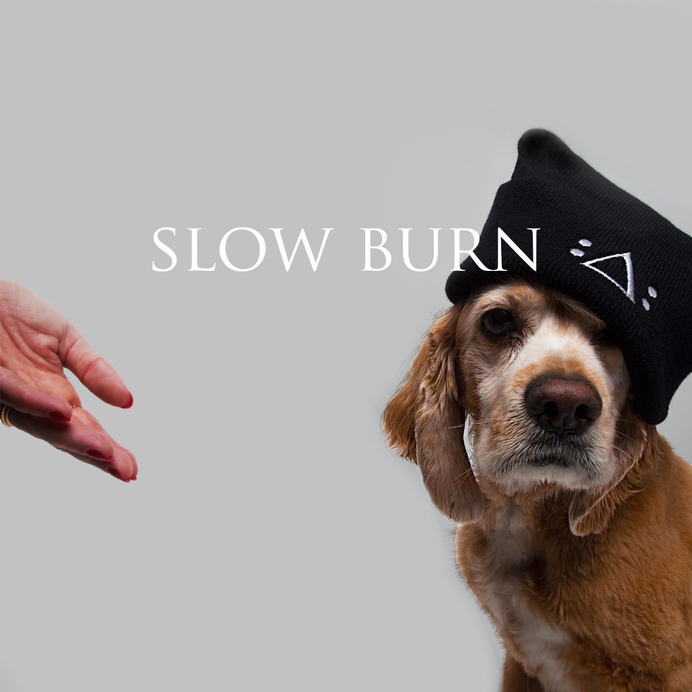 Постер альбома Slow Burn