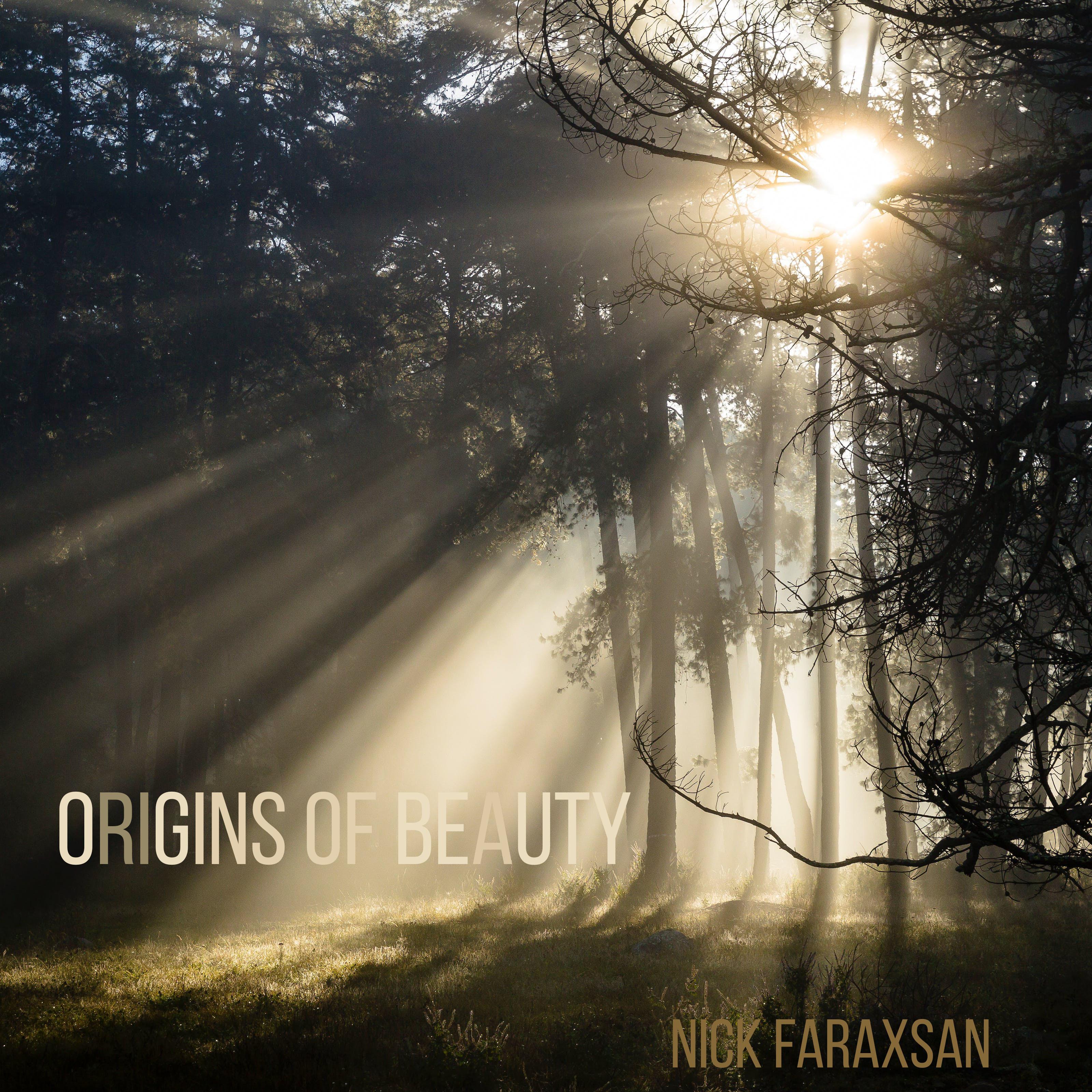 Постер альбома Origins of Beauty
