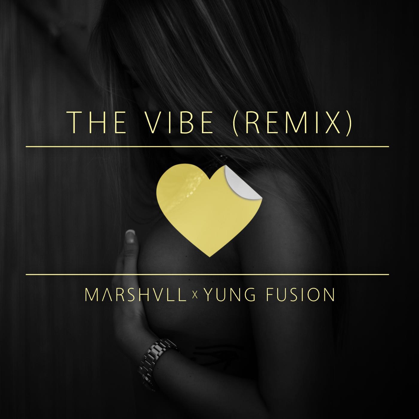 Постер альбома The Vibe (Remix) [feat. Yung Fusion]