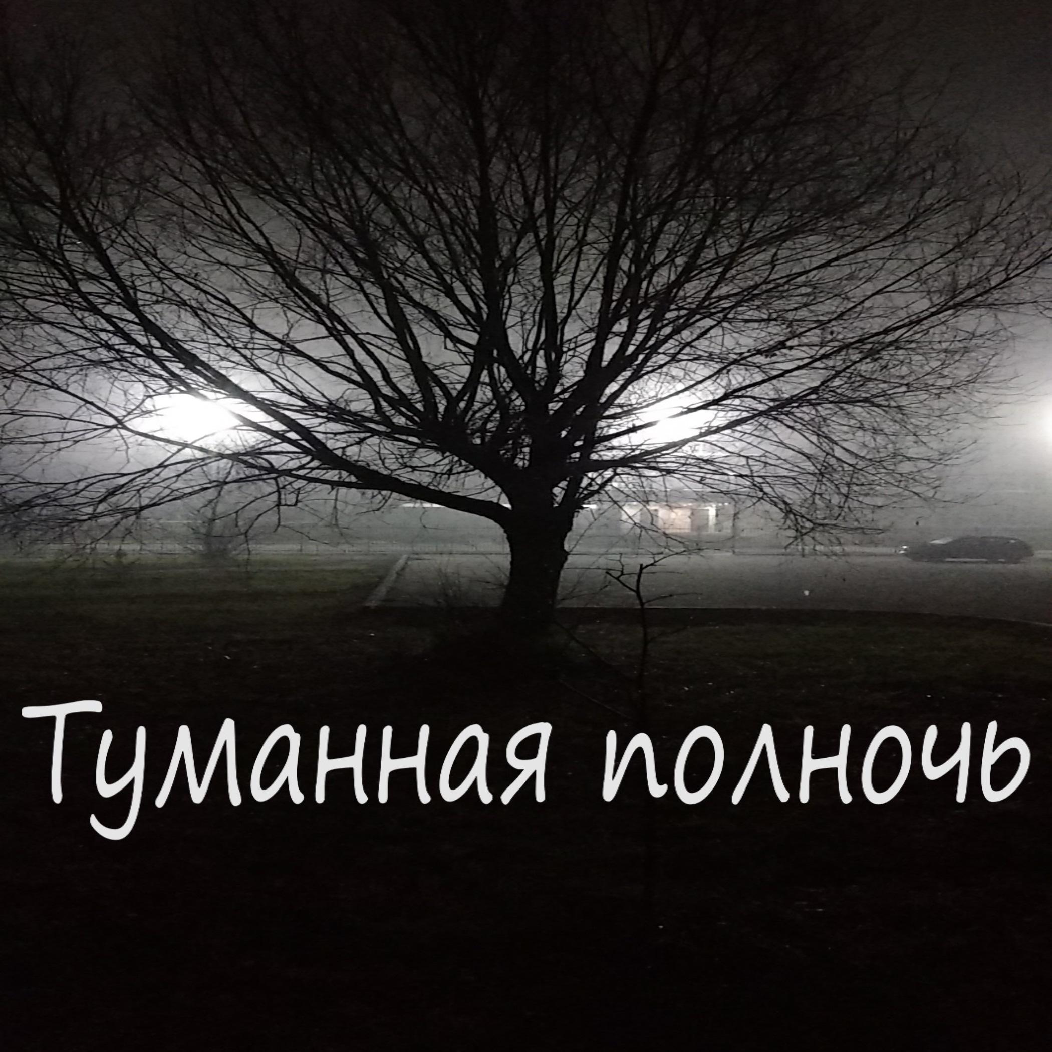 Постер альбома Туманная полночь