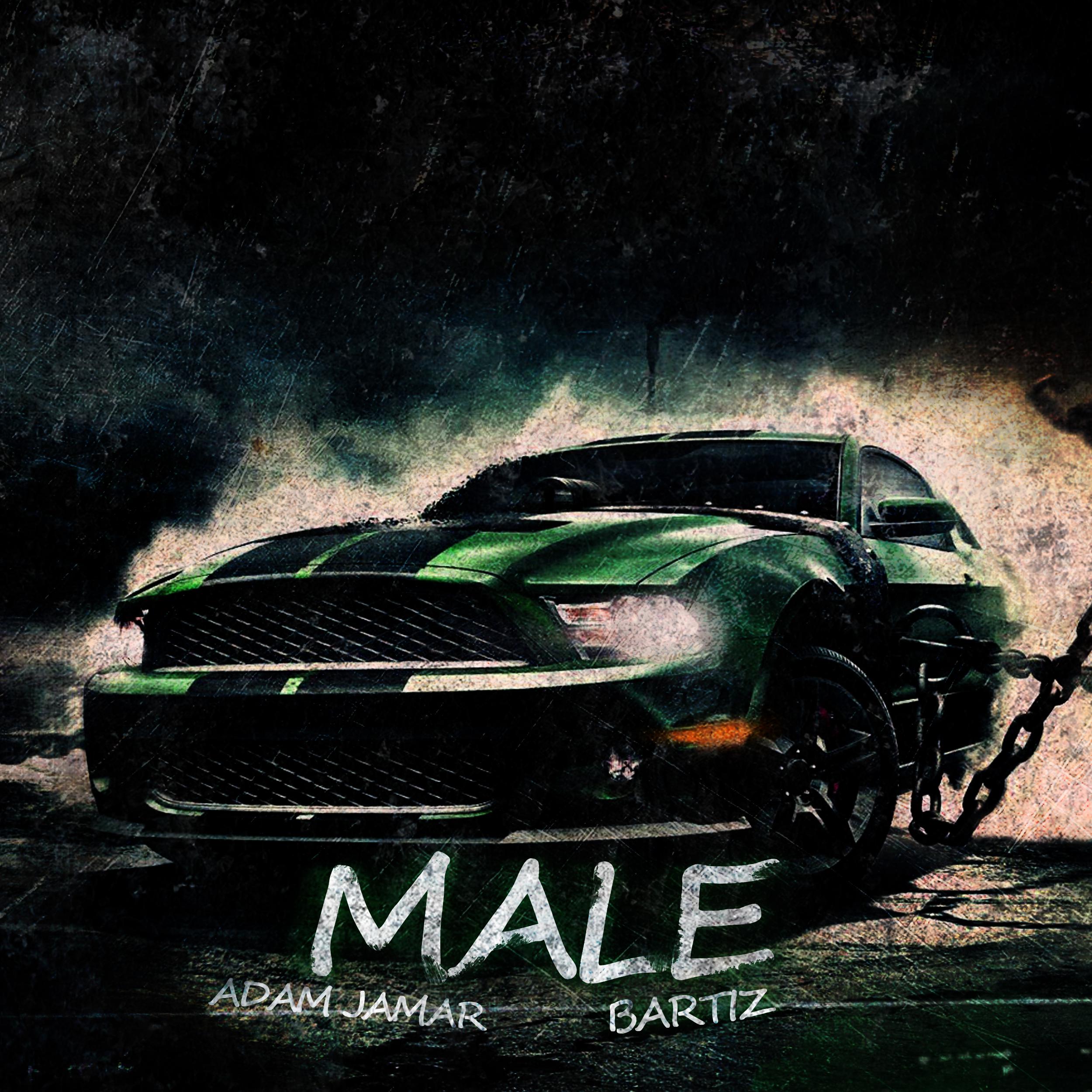 Постер альбома Male