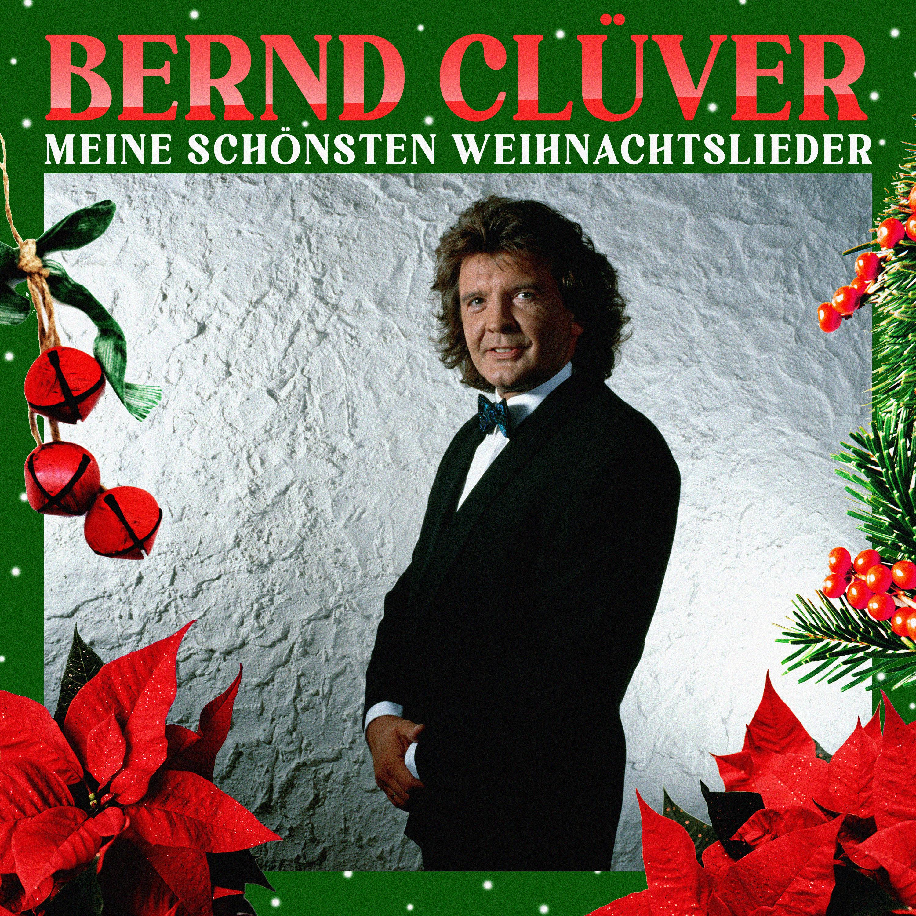 Постер альбома Meine schönsten Weihnachtslieder
