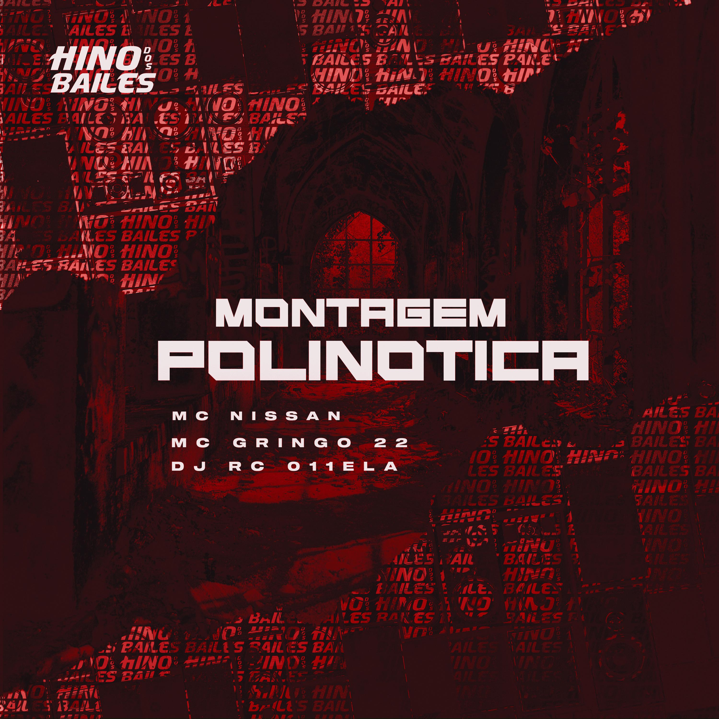 Постер альбома Montagem Polinotica