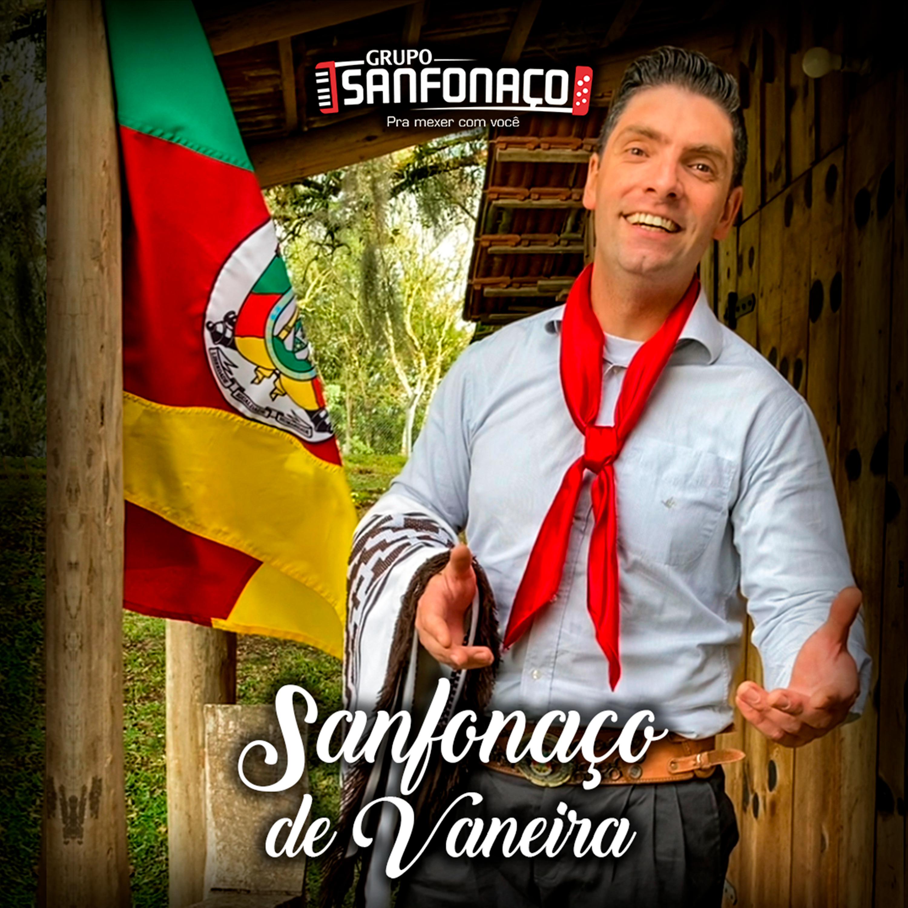 Постер альбома Sanfonaço de Vaneira