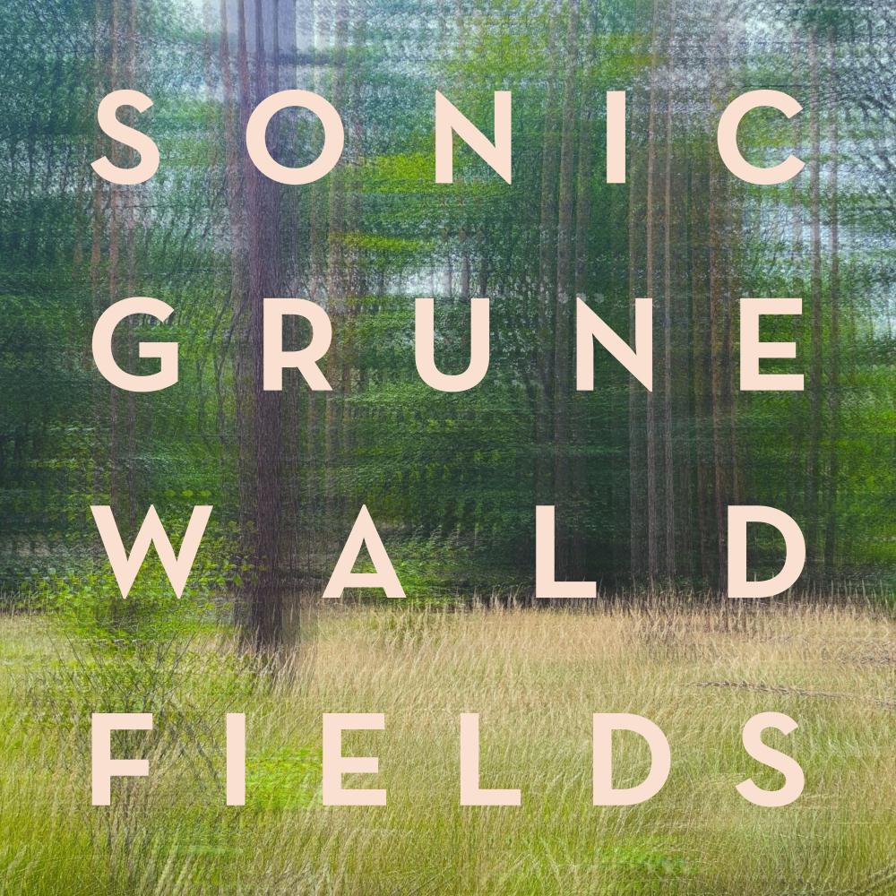 Постер альбома Sonic Grunewald Fields