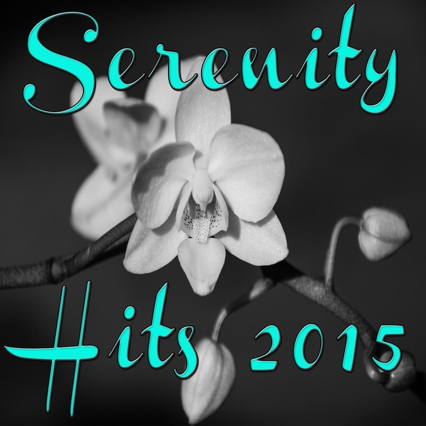 Постер альбома Serenity Hits 2015