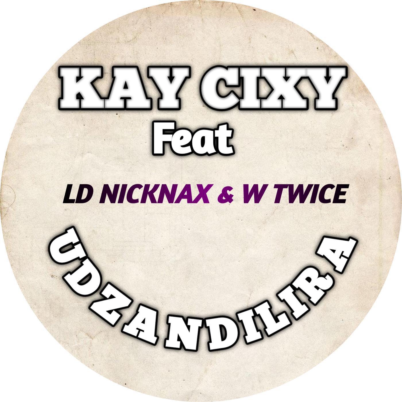 Постер альбома Udzandilira (feat. Ld Nicknax & W Twice)