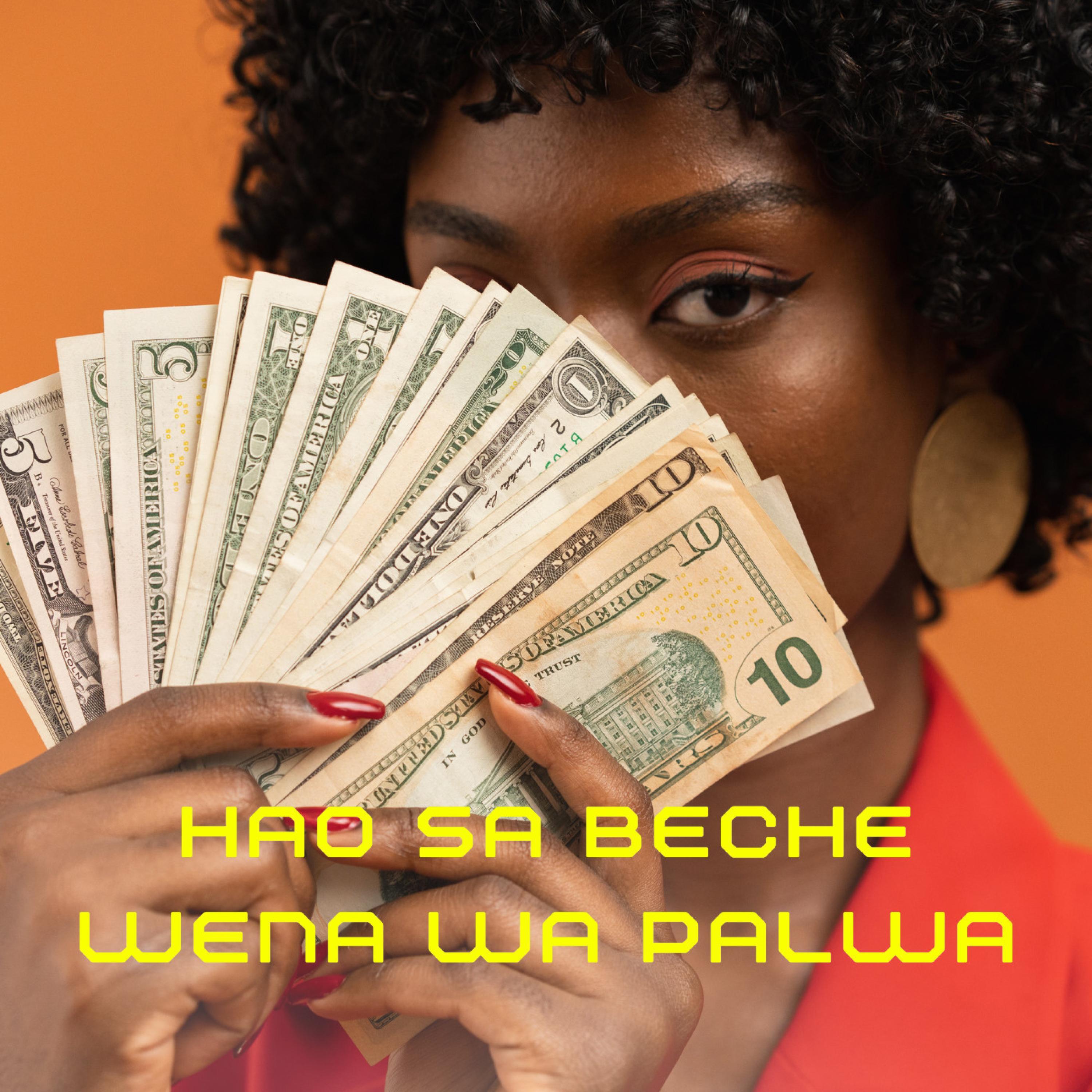 Постер альбома Hao Sa Beche Wena Wa Palwa (feat. Djy_Miizo,Amapiano Music & Tik Trendz)