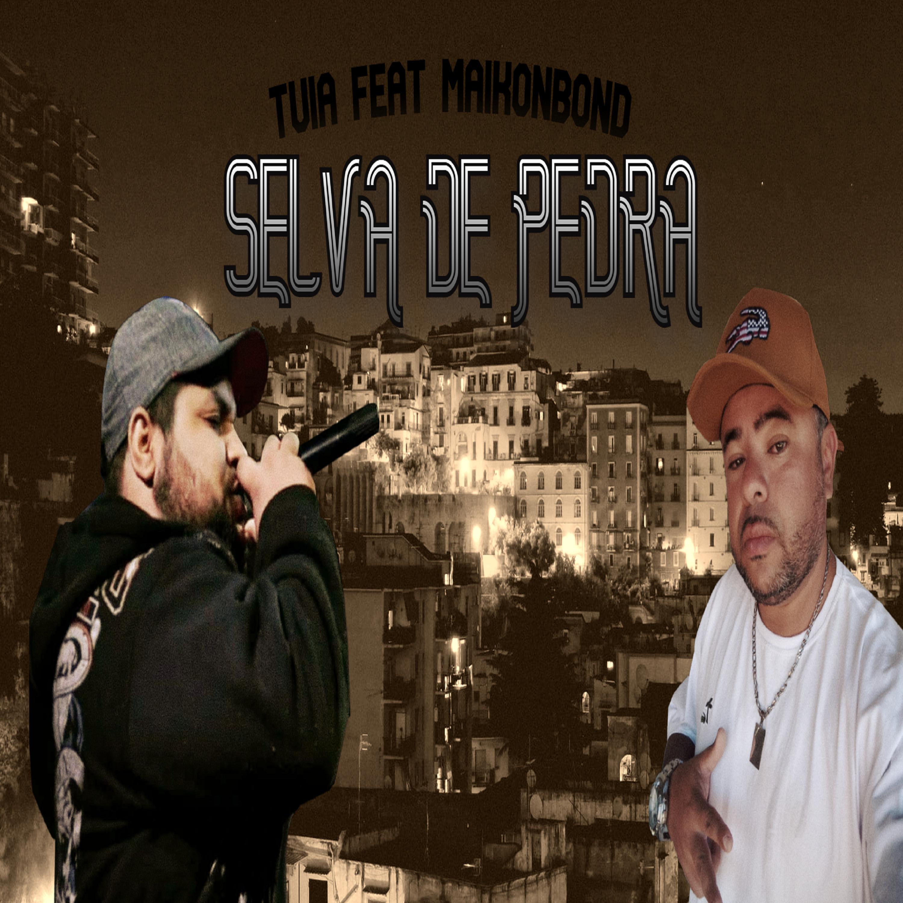 Постер альбома Selva de Pedra