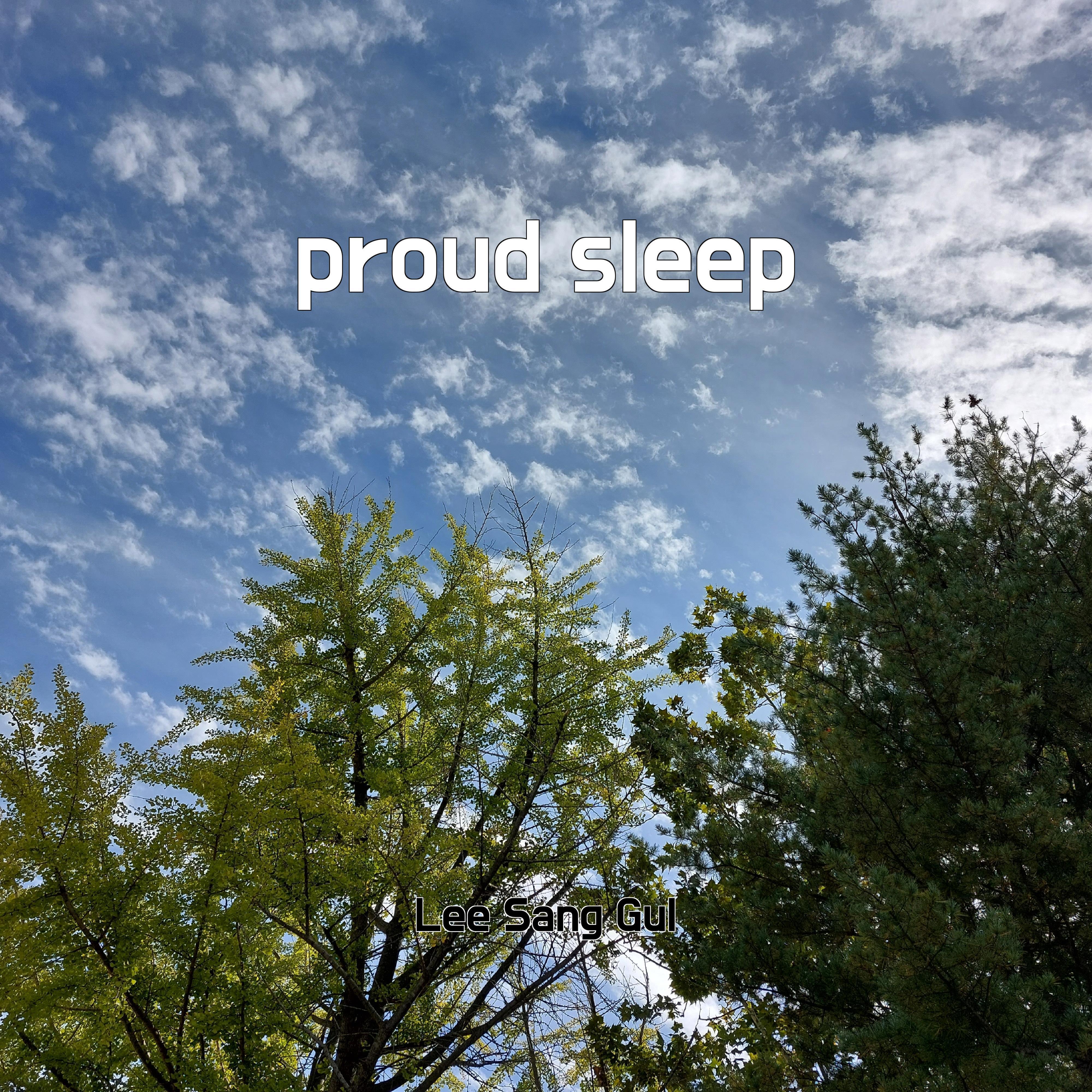 Постер альбома proud sleep