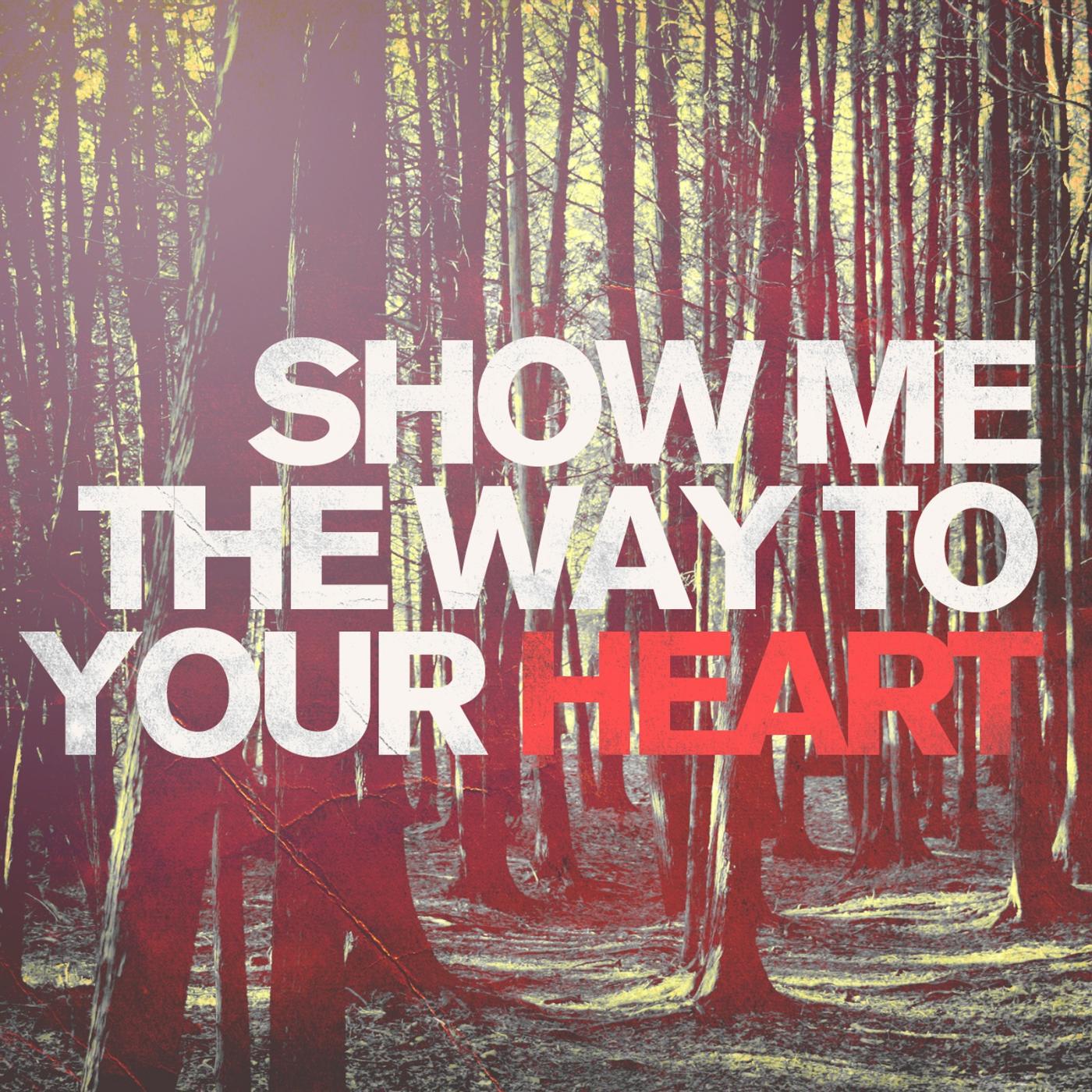 Постер альбома Show Me the Way to Your Heart