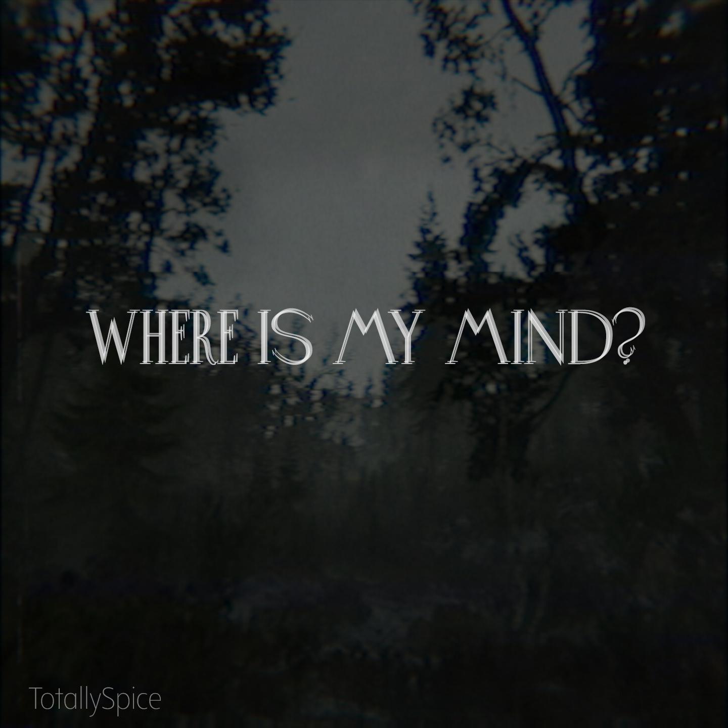 Постер альбома Where Is My Mind?